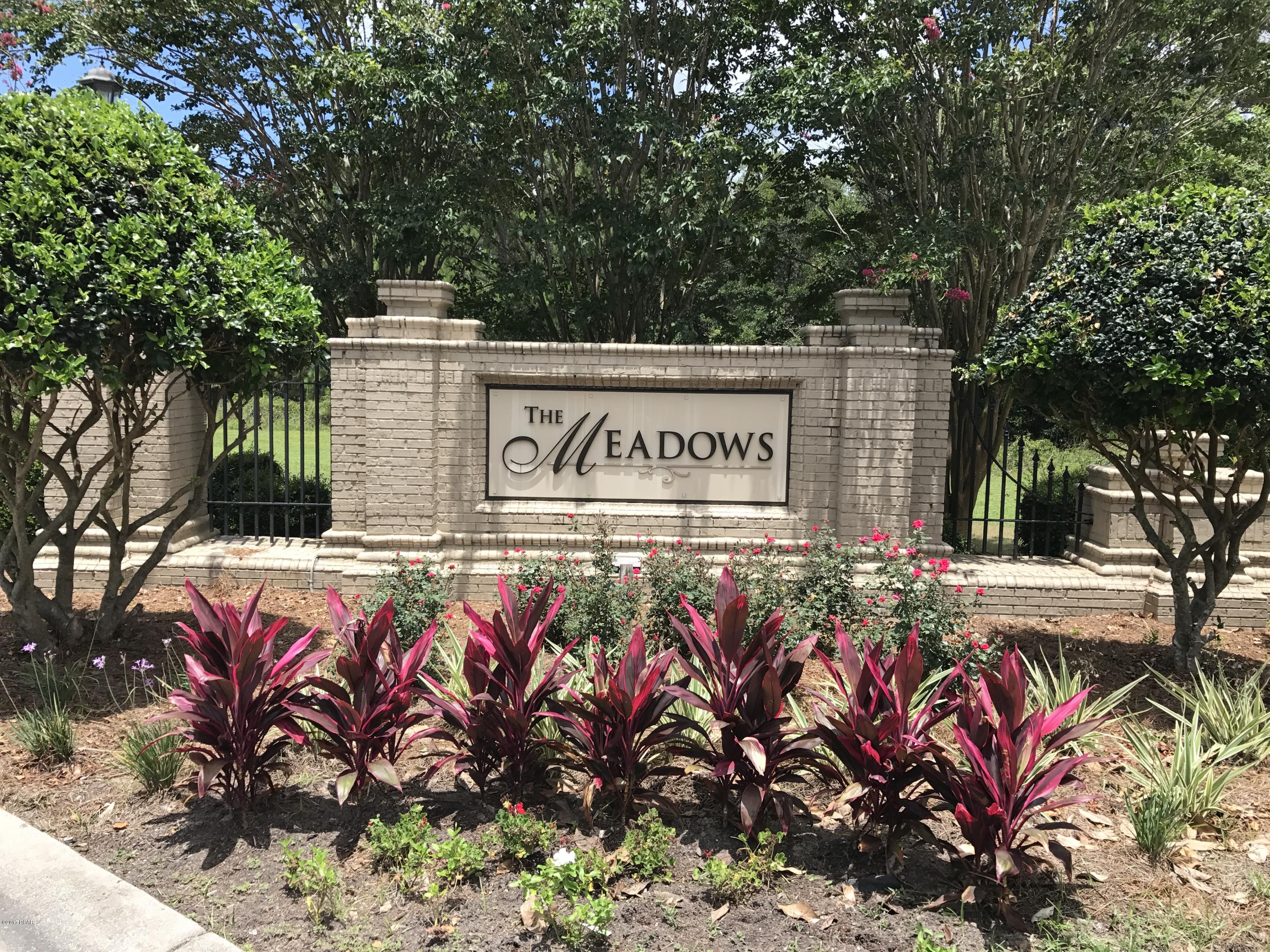The Meadows & The Pointe - Residential