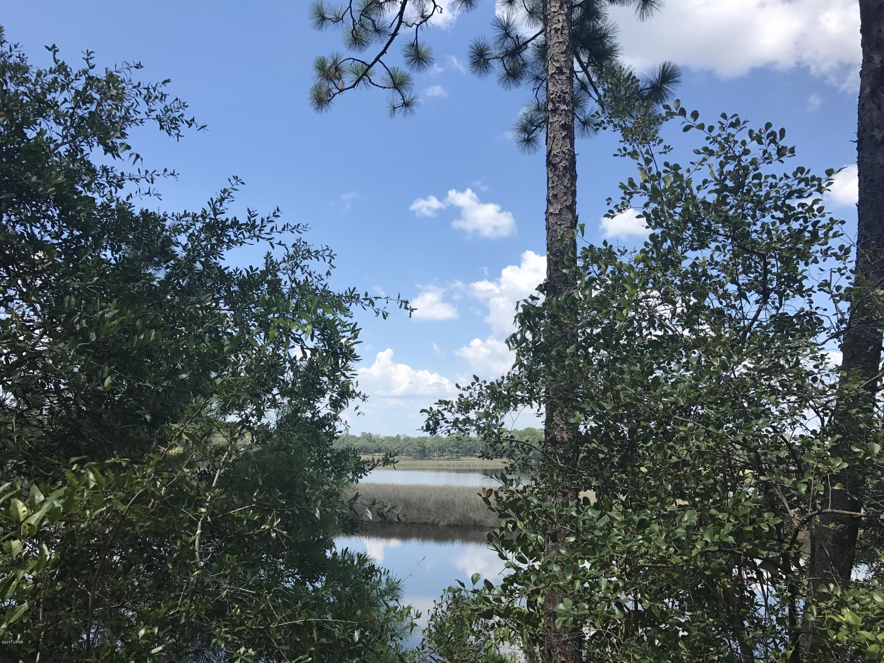 The Meadows & The Pointe - Residential