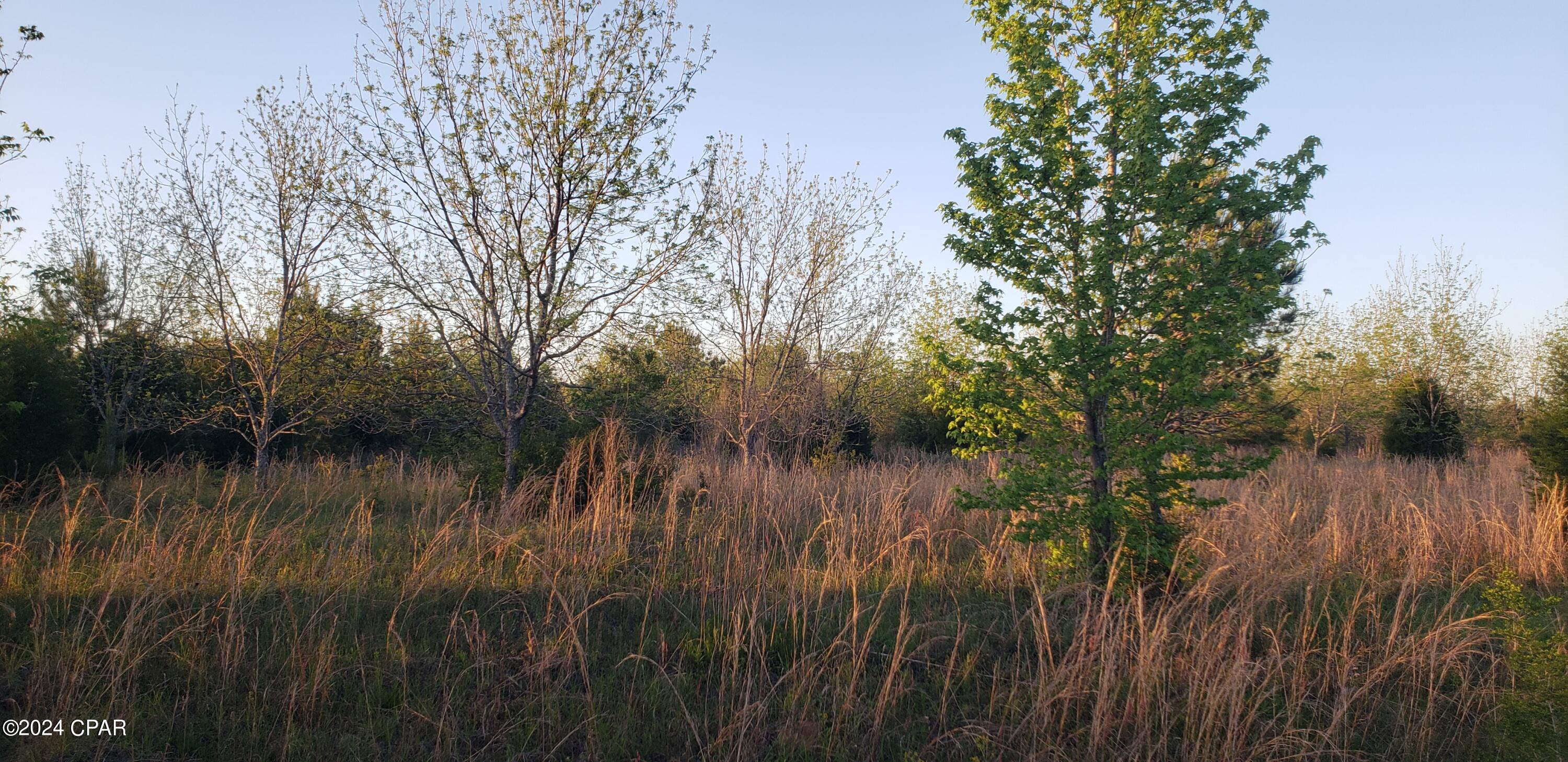 [No Recorded Subdiv] - Land