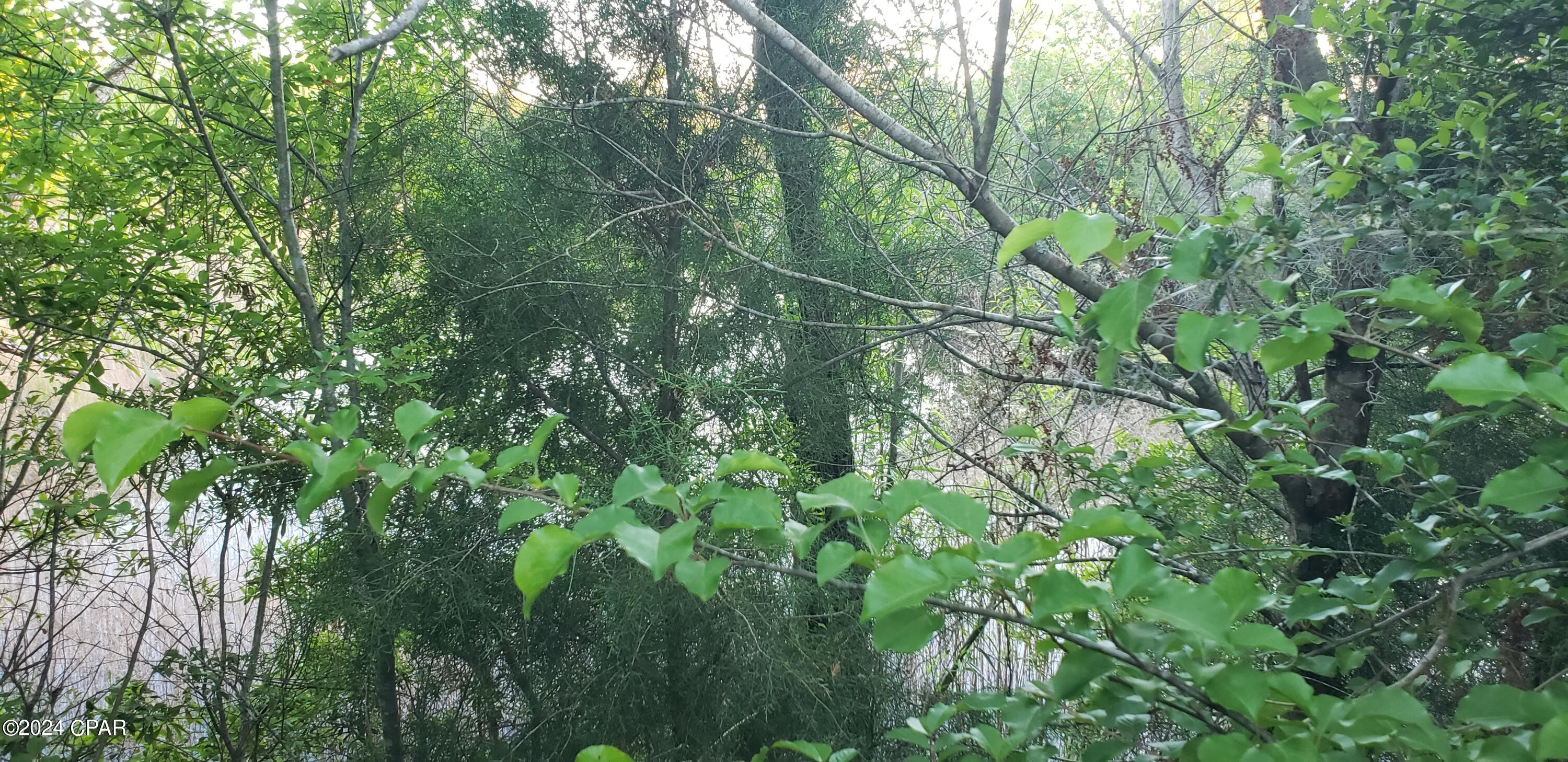 [No Recorded Subdiv] - Land