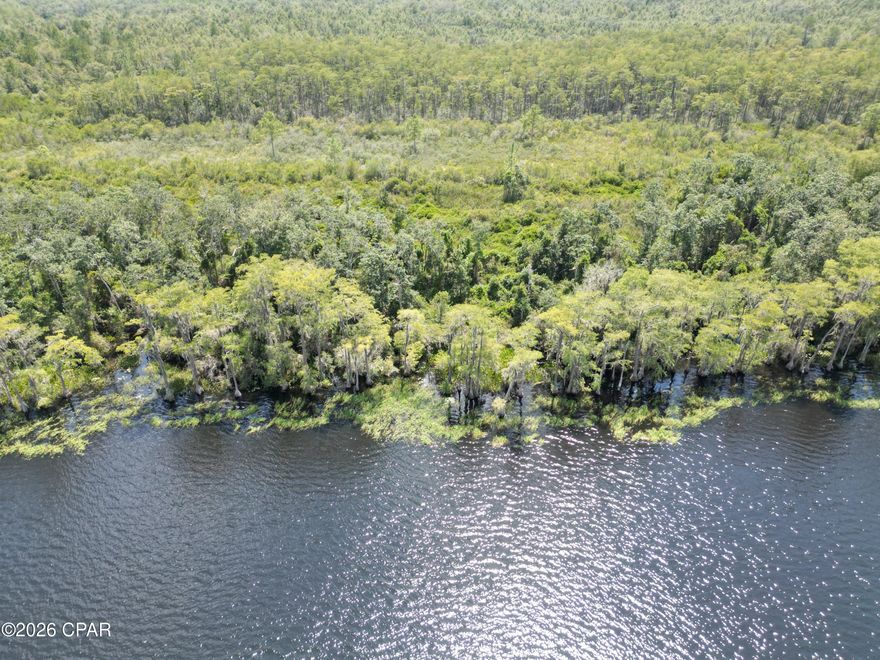 Welcome to a hidden gem in Washington County, Florida, where 100 acres await your vision. Whether you are looking to build your own private homestead or set up a weekend hunting and fishing retreat, this property has everything you need.
This exceptional tract offers endless opportunities for outdoor recreation, including ATV riding, target shooting, and simply enjoying the peaceful surroundings. With a natural wooded landscape teeming with deer, turkey, ducks, and quail, it's a paradise for both hunters and nature enthusiasts. Plus, 450 feet of exclusive water frontage on Pate Lake, known for its stunning 500 acres and some of the finest fishing in the area, featuring largemouth bass, catfish, bream, and crappie.
If you're ready to start planning your dream home or hunting retreat, this land is a fantastic option with tremendous potential. Picture your future fishing and hunting adventures on a secluded and private property like this! 
Call today to learn more about what this incredible land can offer you!

Key Features:
*Private location
*Excellent recreational retreat
*450 feet of exclusive water frontage on Pate Lake
*12 minutes to Bonifay, FL
*45 minutes to Panama City Beaches
*40 minutes to NW FL Beaches International Airport