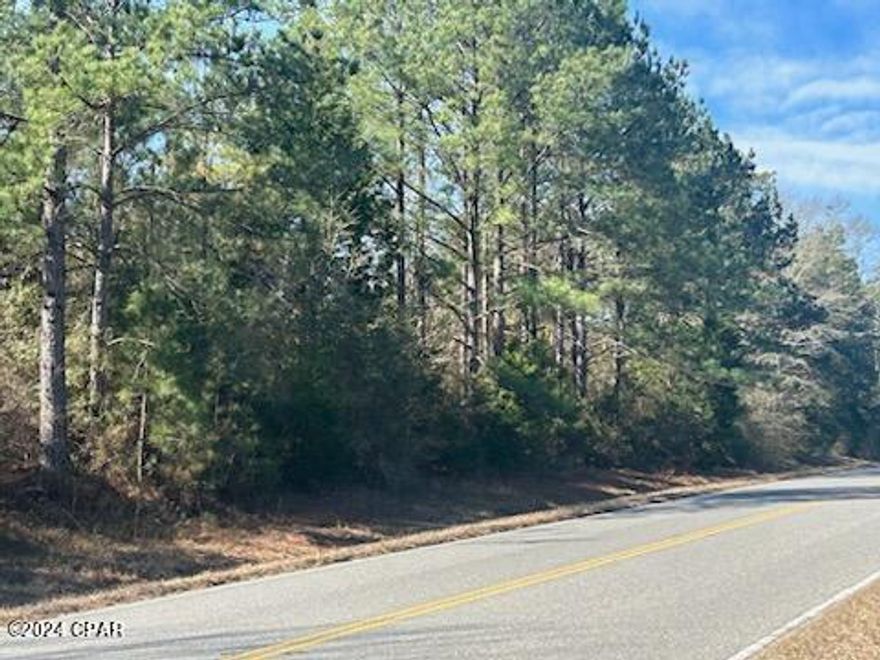 Under Contract (Taking Backup Offers) Create your own mini-farm on this versatile 14.5+ piece of property.
The property has enough acreage  it can also be used as a weekend retreat for you and your family, providing a peaceful escape from the hustle and bustle of the city. You could build a small cabin or install a mobile home as a weekend getaway. This property can be a versatile and rewarding investment, providing endless possibilities for recreation, relaxation, and even income