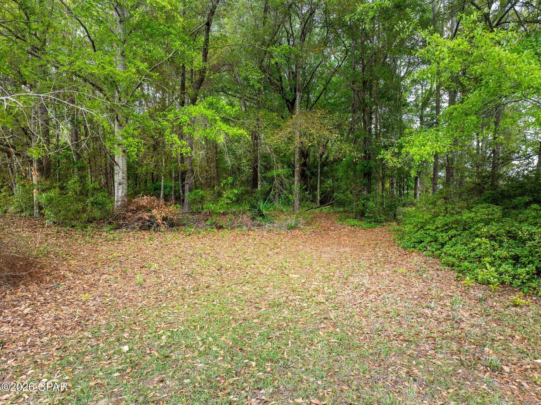 Dogwood Lakes - Land