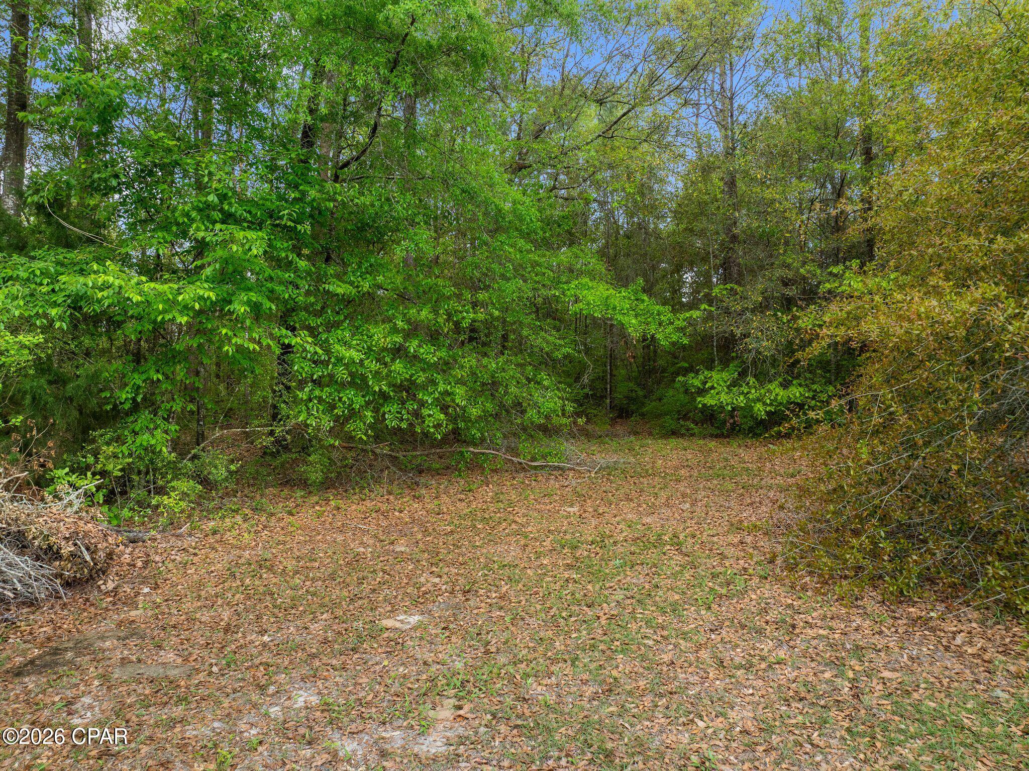 Dogwood Lakes - Land