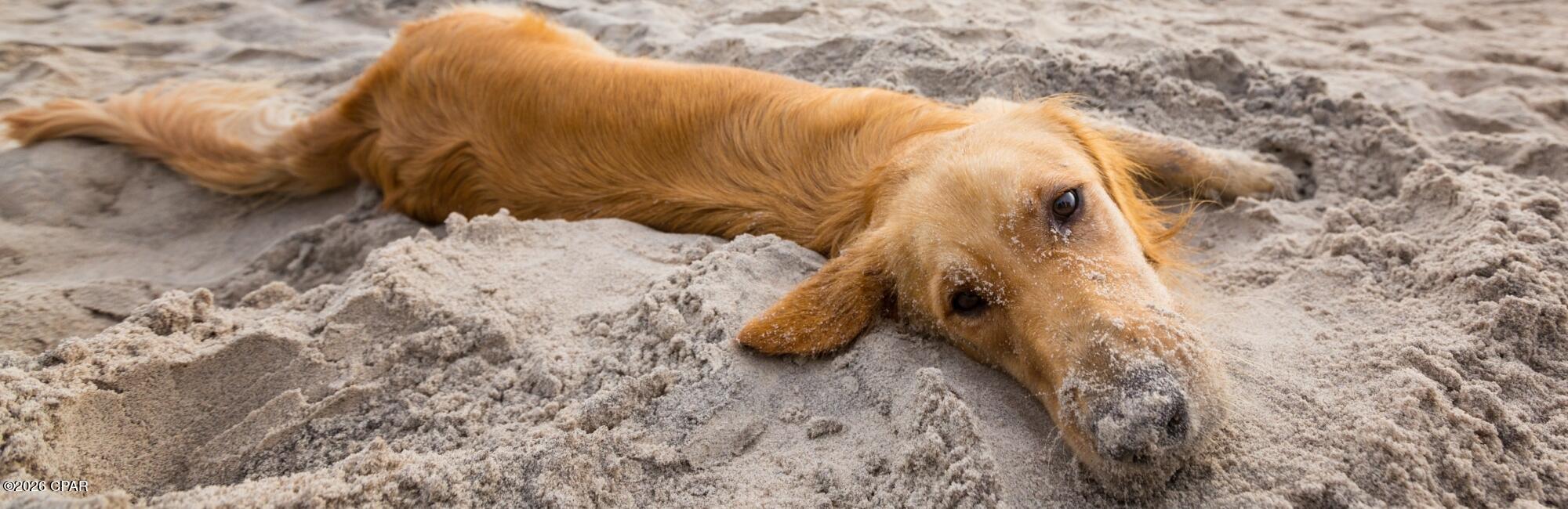 Cottages @ Indian Summer - Residential