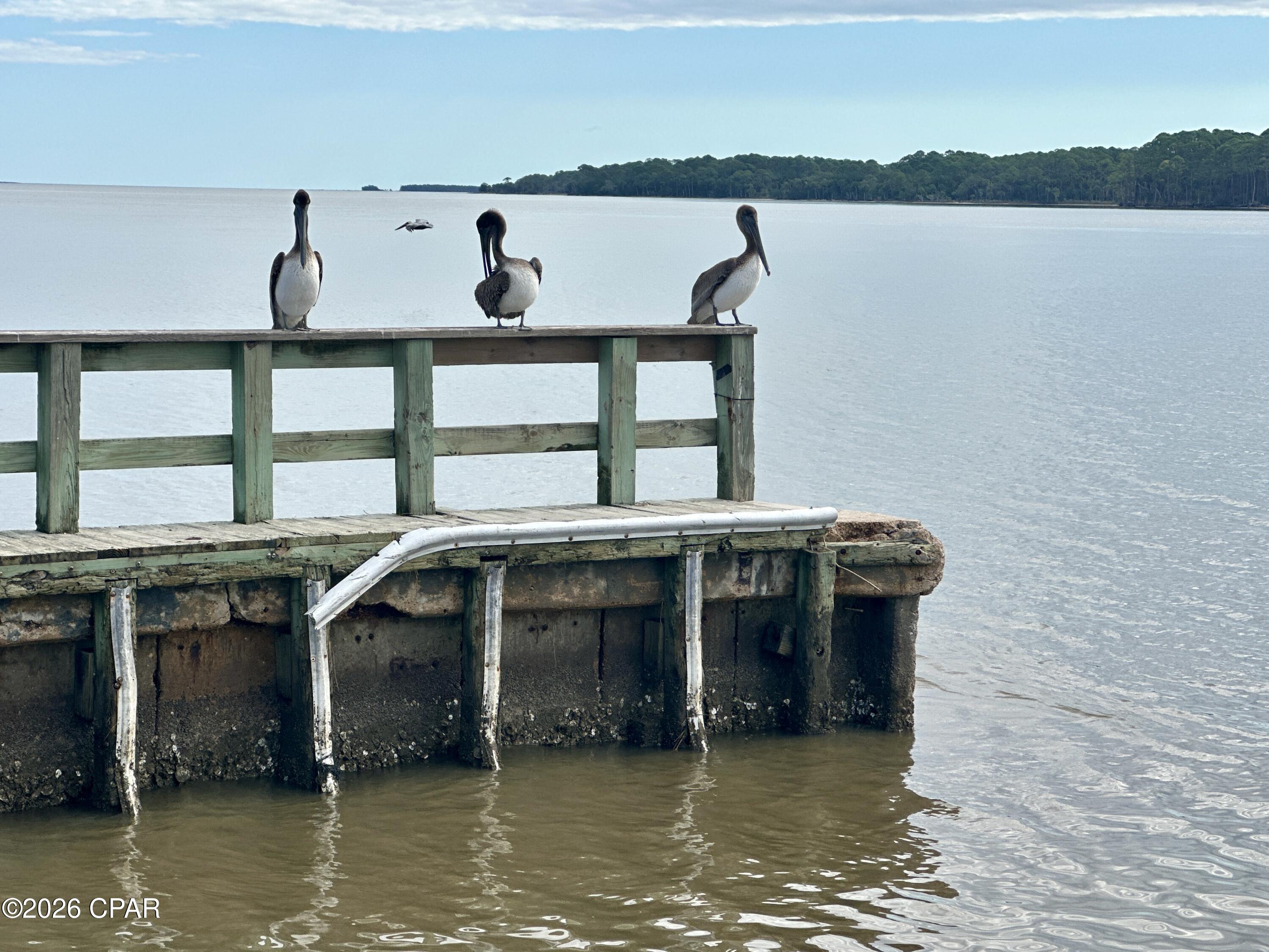 Cottages @ Indian Summer - Residential