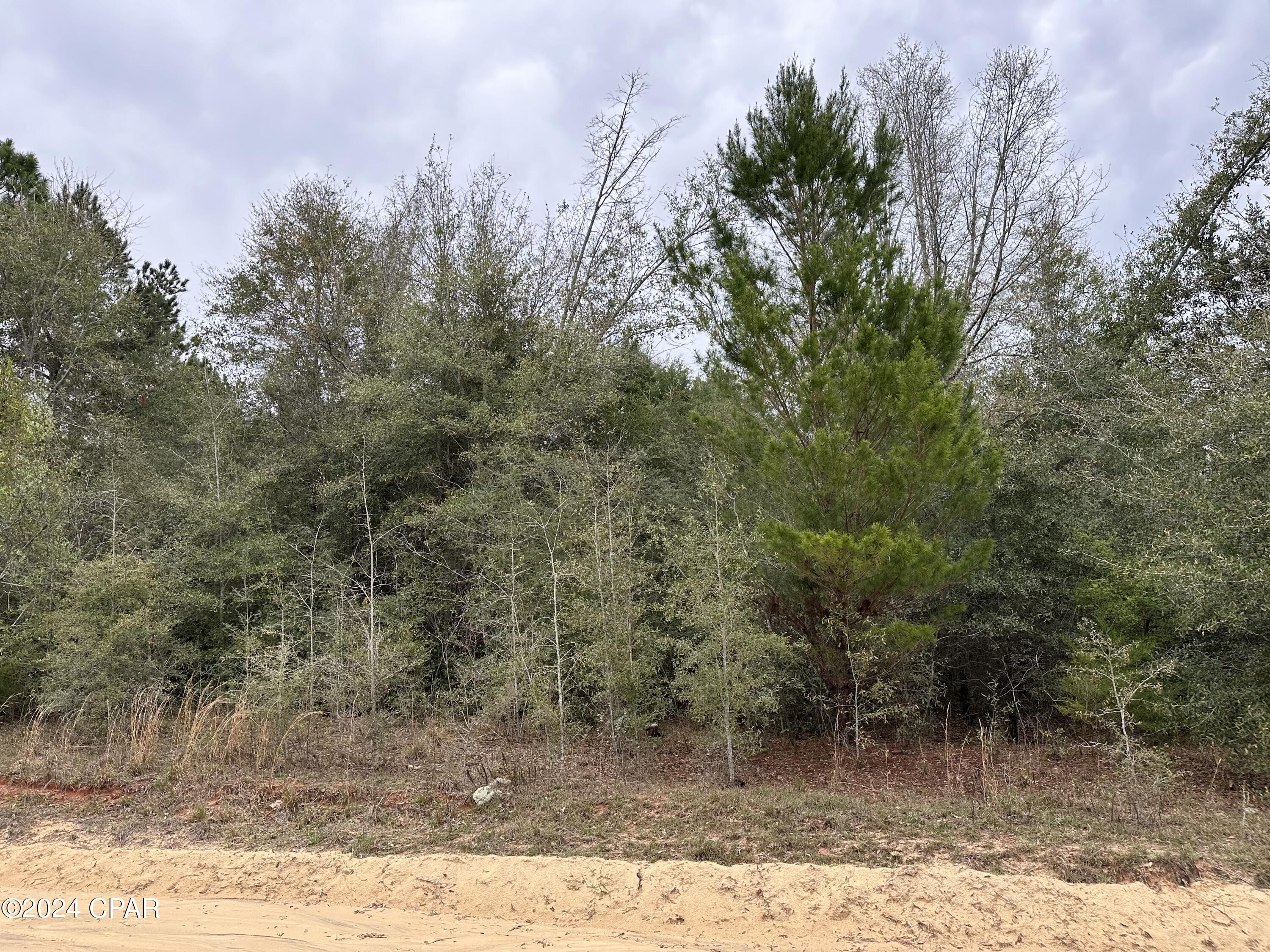 Compass Lake Highlands - Land