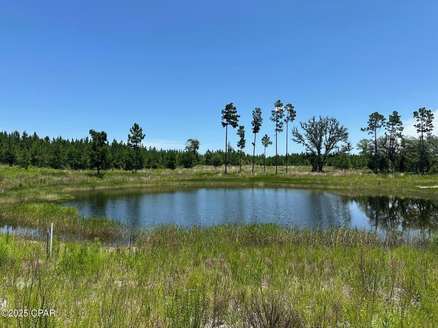 Country living at its best!  Not one, but 2 ponds on the property nestled in between planted pines on a paved road.   Plenty of room to build your dream home in your corner of the world.  Located in Calhoun County FL, just North of the beaches and West of Blountstown FL.   Call today for your appointment!!