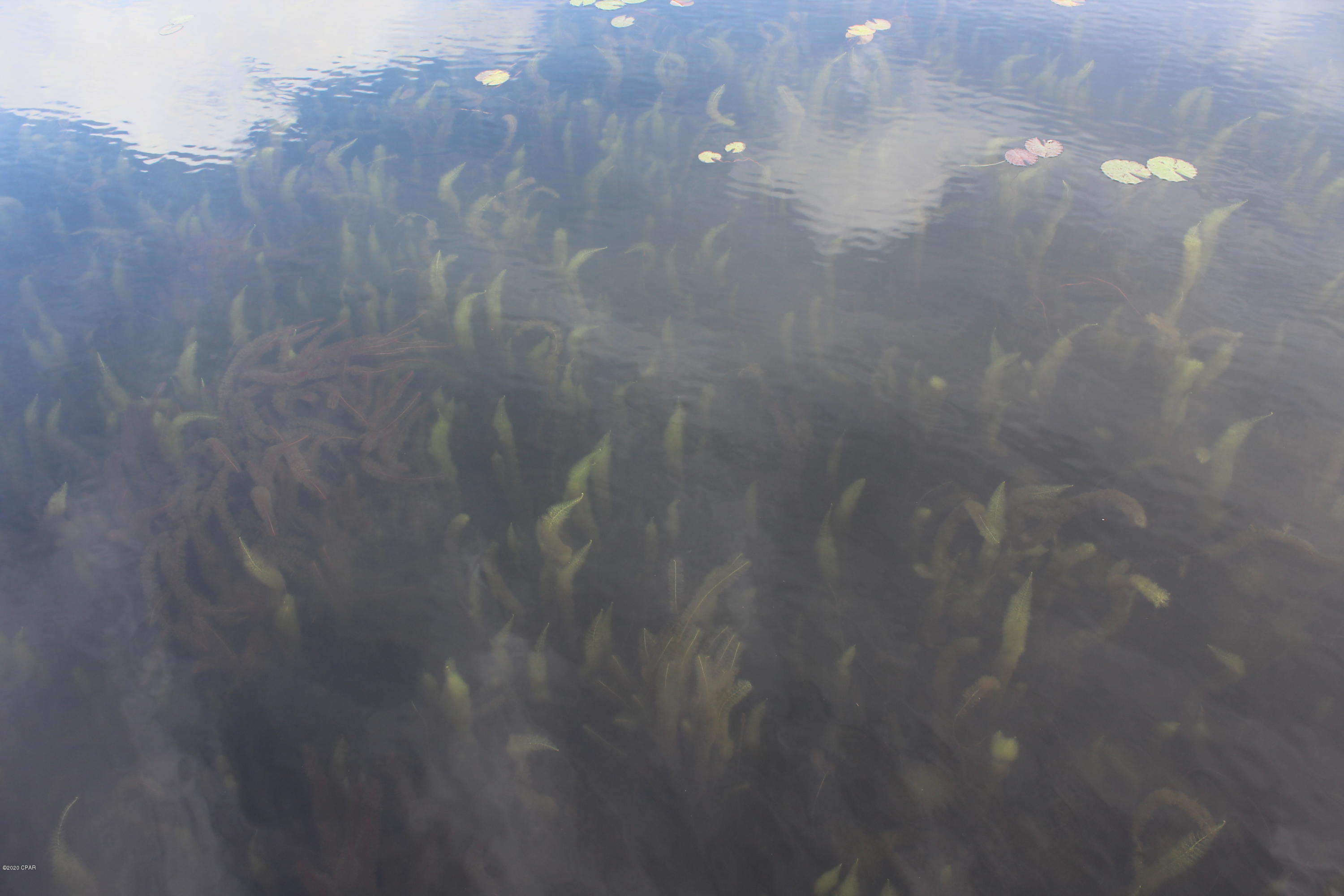 Dunford Haven - Residential