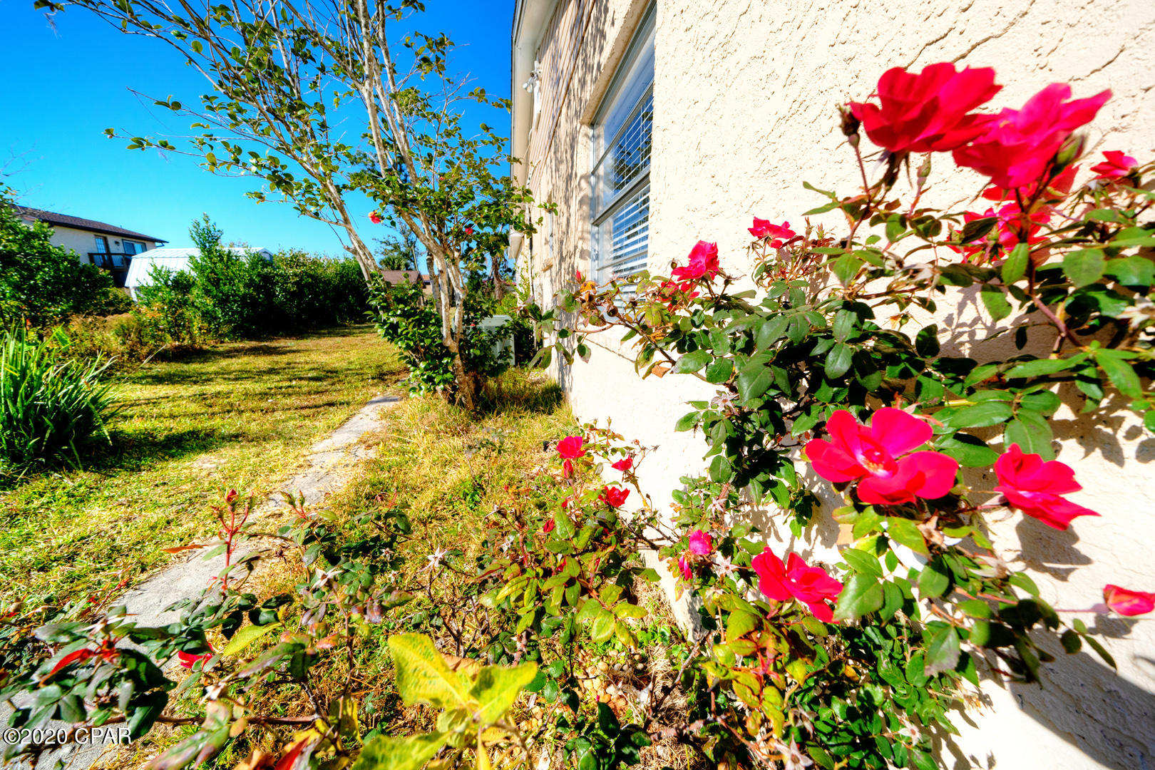 College Point - Residential