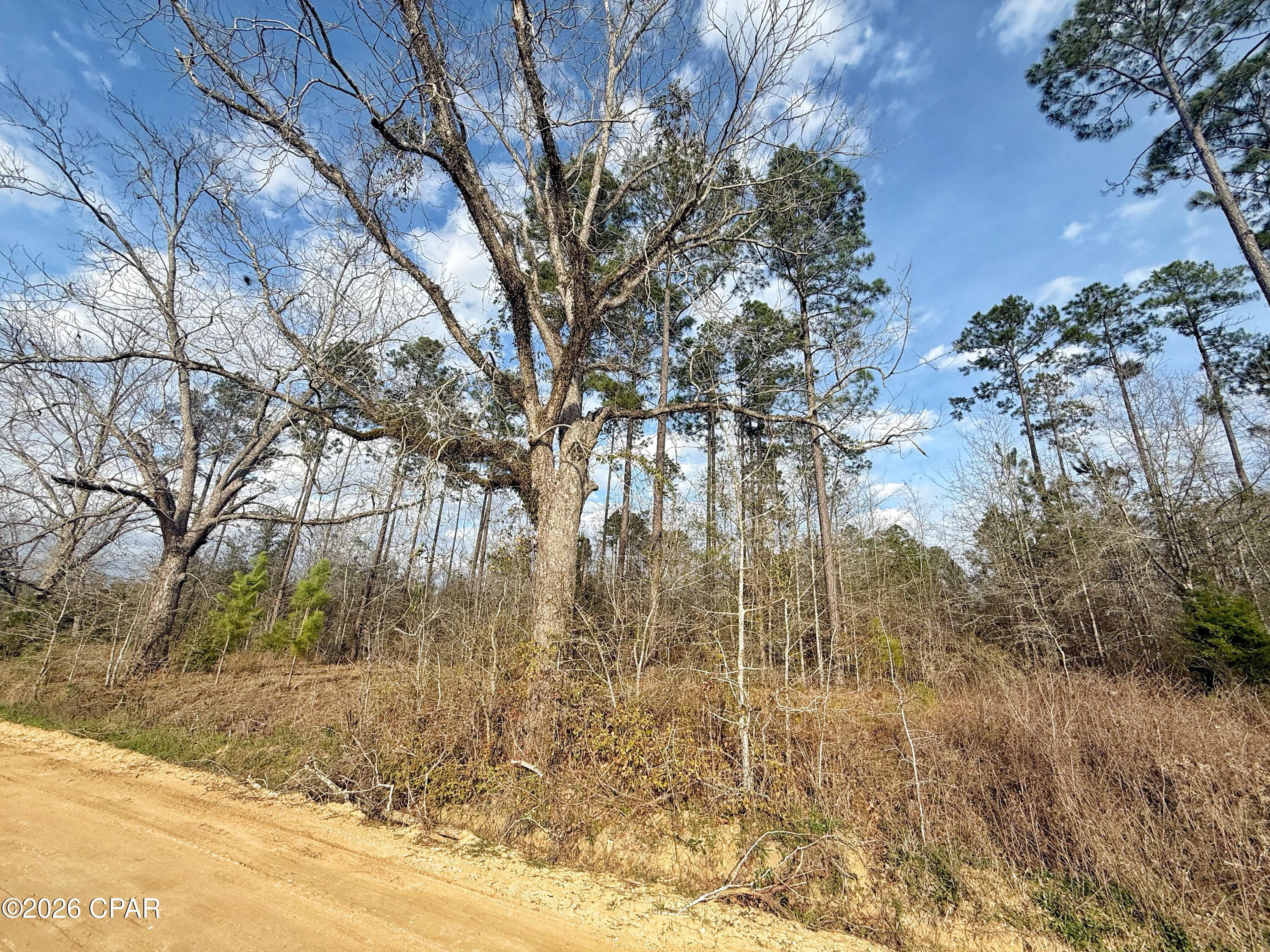 No Named Subdivision - Land