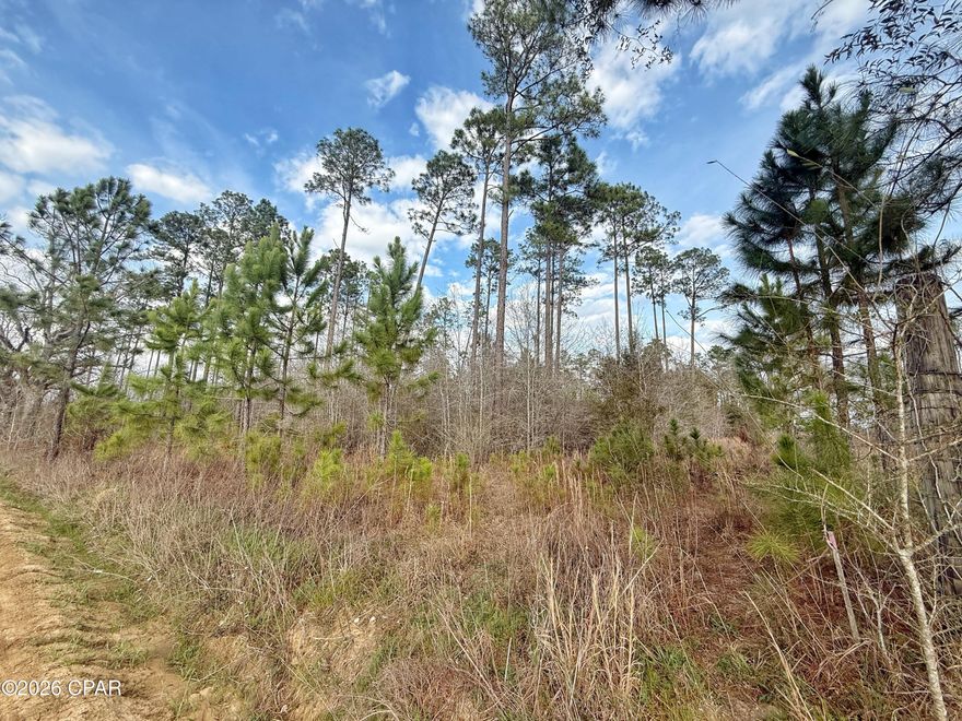 Discover the freedom and privacy you've been looking for with this beautiful 10-acre tract in Cottondale, Florida! Tucked away on a quiet dirt road in Cottondale, this property offers the perfect blend of rural charm and wide-open opportunity.
The land is all high and dry with no flood zone, giving you peace of mind as you plan your future homesite, farm, or recreational retreat. With no deed restrictions, you have the flexibility to build the home you want--whether that's a site-built home, mobile home, barndominium, or simply a weekend getaway cabin.
Enjoy the space and privacy of country living while still being a short drive to town for everyday conveniences. Bring your animals, start a garden, create riding trails, or just enjoy the quiet surroundings and star-filled skies.
If you've been searching for acreage with freedom and potential, this 10-acre parcel is ready for your vision.