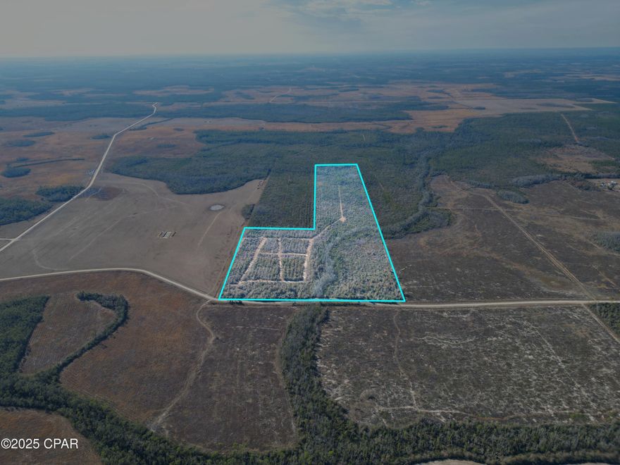 If you are looking for an oasis of 80 surrounded by a few thousand acres of farmland in Florida this is it!  This land already has trees, deer stands, roads and electricity ready to be connected on site.  Look for the abundance of deer, turkey, hogs and even quail on this secluded hunters paradise.  Back 40 acres has timber that is ready to be harvested.  Front 40 acres has roads, shooting houses, feeder etc.