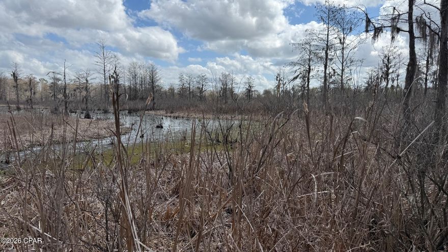 This 65 + or - acres is a great recreational/ hunting tract. Bring your RV & setup camp. Hunt deer, turkey & ducks. Great, quiet country living.