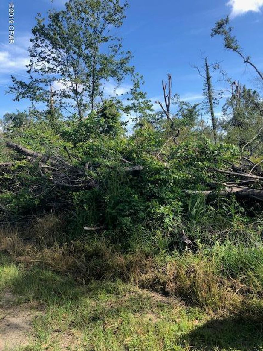 Two lots close to the Chipola River and boat landing on Magnolia Road.  These lots have electricity to them so its ready to build your house on stilts and walk to the river.   Measurements are approximate get a survey for more accurate data.