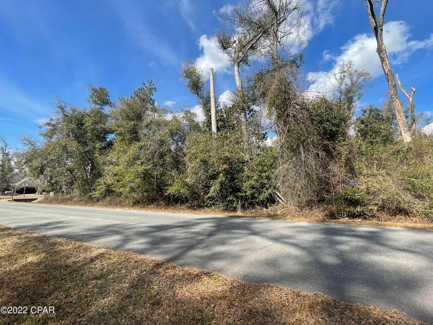 Nice buildable lot on one of the area's best golf courses. It is located in one of Marianna's most desired Subdivisions, Indian Springs. This is a large lot that overlooks Hole #16's fairway. This would be the perfect location for you to build your dream home. Beautiful executive homes surround this property.