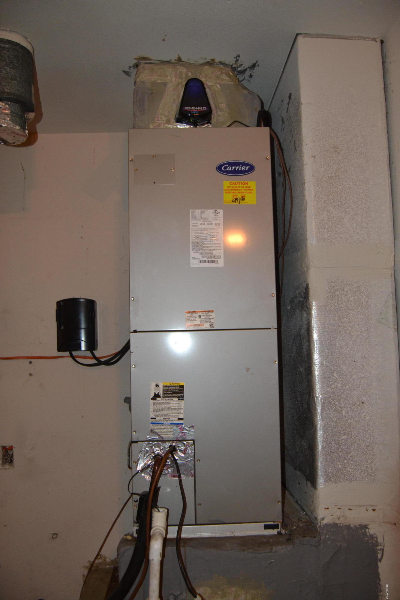 Pine Tree Place Unit 1 - Residential