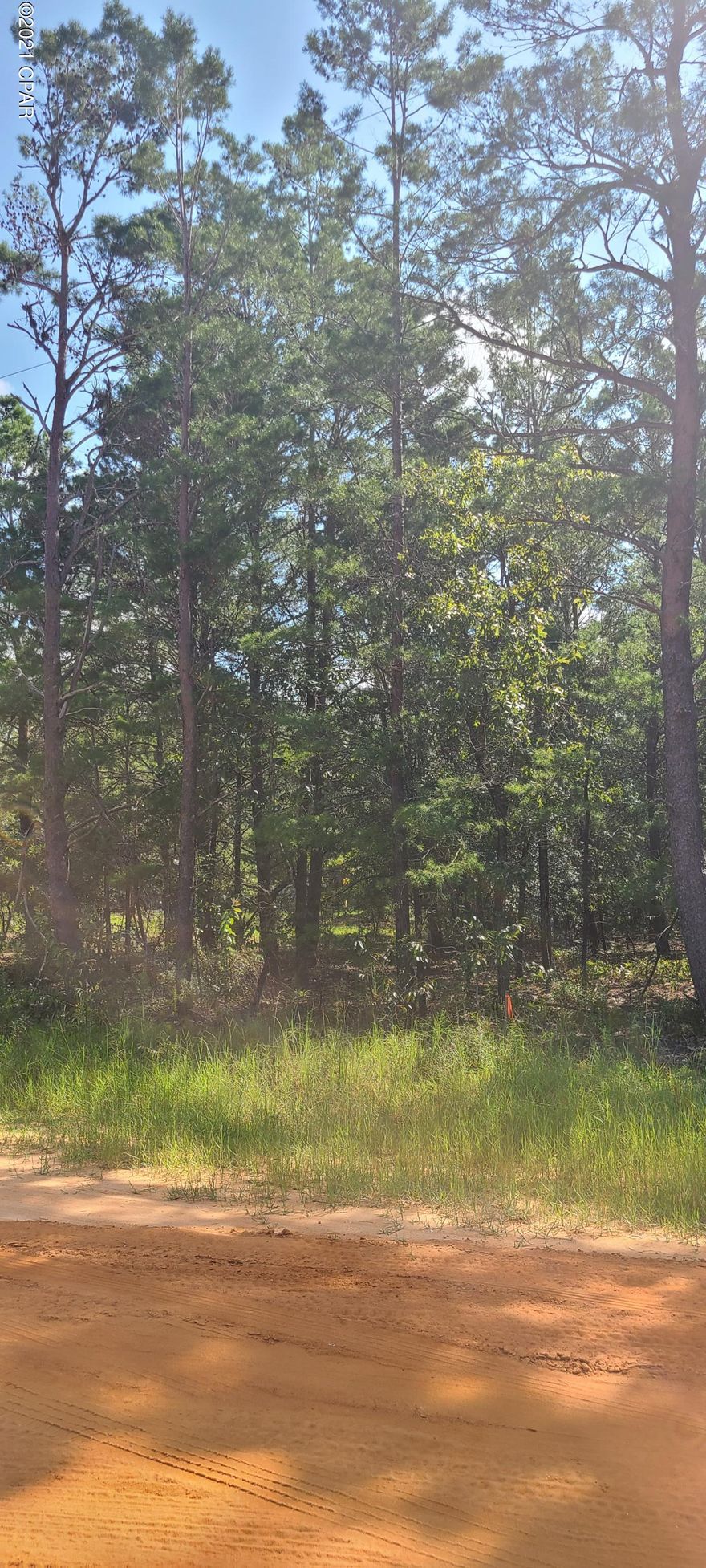 Beautiful 5.13 acres in the quiet and peaceful town of Mossy Head. This 5+ acre lot will make the perfect home. With plenty of room to spread out. This little town is growing and you can own a piece of it here. buyer to verify all measurements/