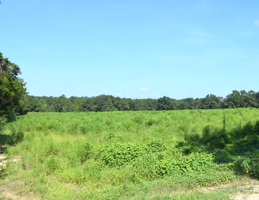 **Owner Financing Available** This 20.41 acre tract has been recently surveyed and would be an ideal site for a new home, mobile home, farm land or a place to go hunting. Property consist of cultivatable land and some mixed hardwoods. Parcel features over 990 ft of highway frontage and access to a small pond. Corner markers are in place, parcel on the east side of Davidson Rd is also for sale.