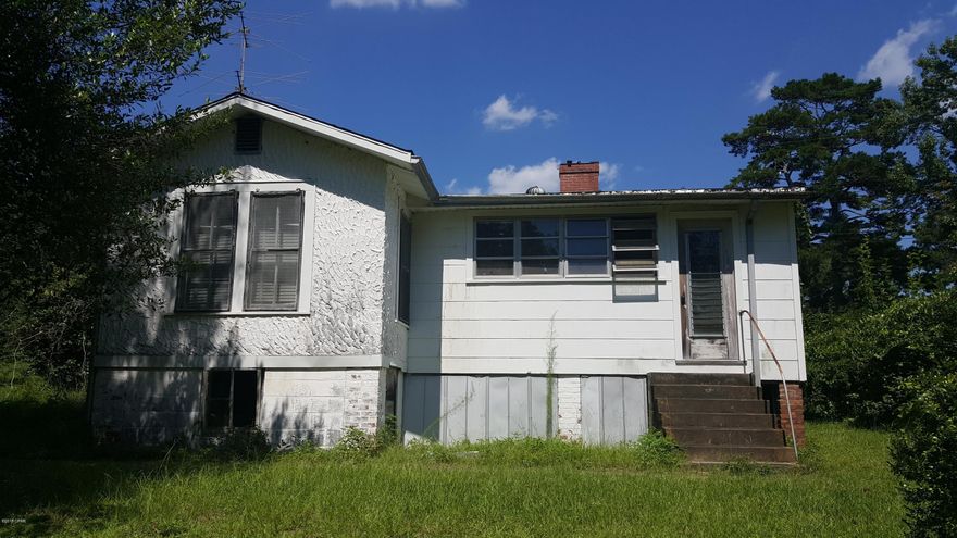 GREAT INVESTMENT PROPERTY !!! LOOKING FOR RENTAL INCOME!! Cottage home with 3 bedrooms and 1 1/2  bath. Well built old style cottage home made out of pine wood. Great rental income home.  Needs work on electrical and plumbing. Some cosmestic updating and this home can be a cozy home. Adjoining lot (75'x200') is included in the sale price of this home. Call listing agent for appointment to view this home and property.