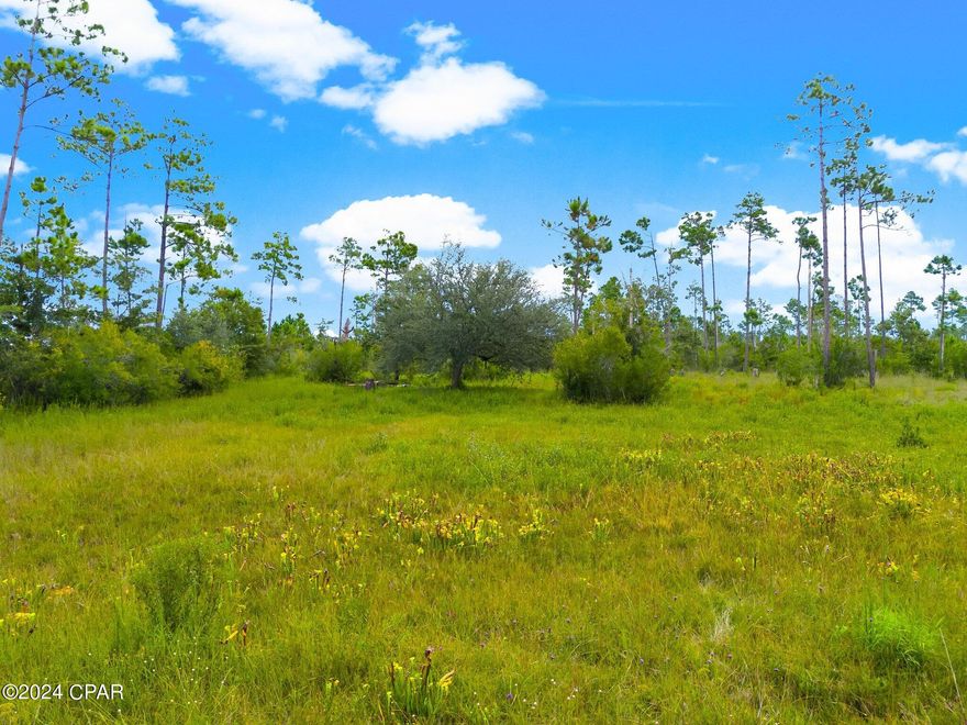 Don't miss this 1 acre lot tucked back off the main road in the Sandy Creek area.  Zoned R-1 it is mostly cleared and ready for your modular or new construction home.  Plenty of room for all of your toys.  There is a natural private road that leads to the property. Perfect for those seeking a quiet, private homesite.  Go and view it today! This property is Flood zone A and designated wetlands. There is no sign on the lot.  The wetland delineation has been completed showing that only the front area is a wetland.  The report is attached.  A building permit is still required from the Florida Dept of Environmental Protection.