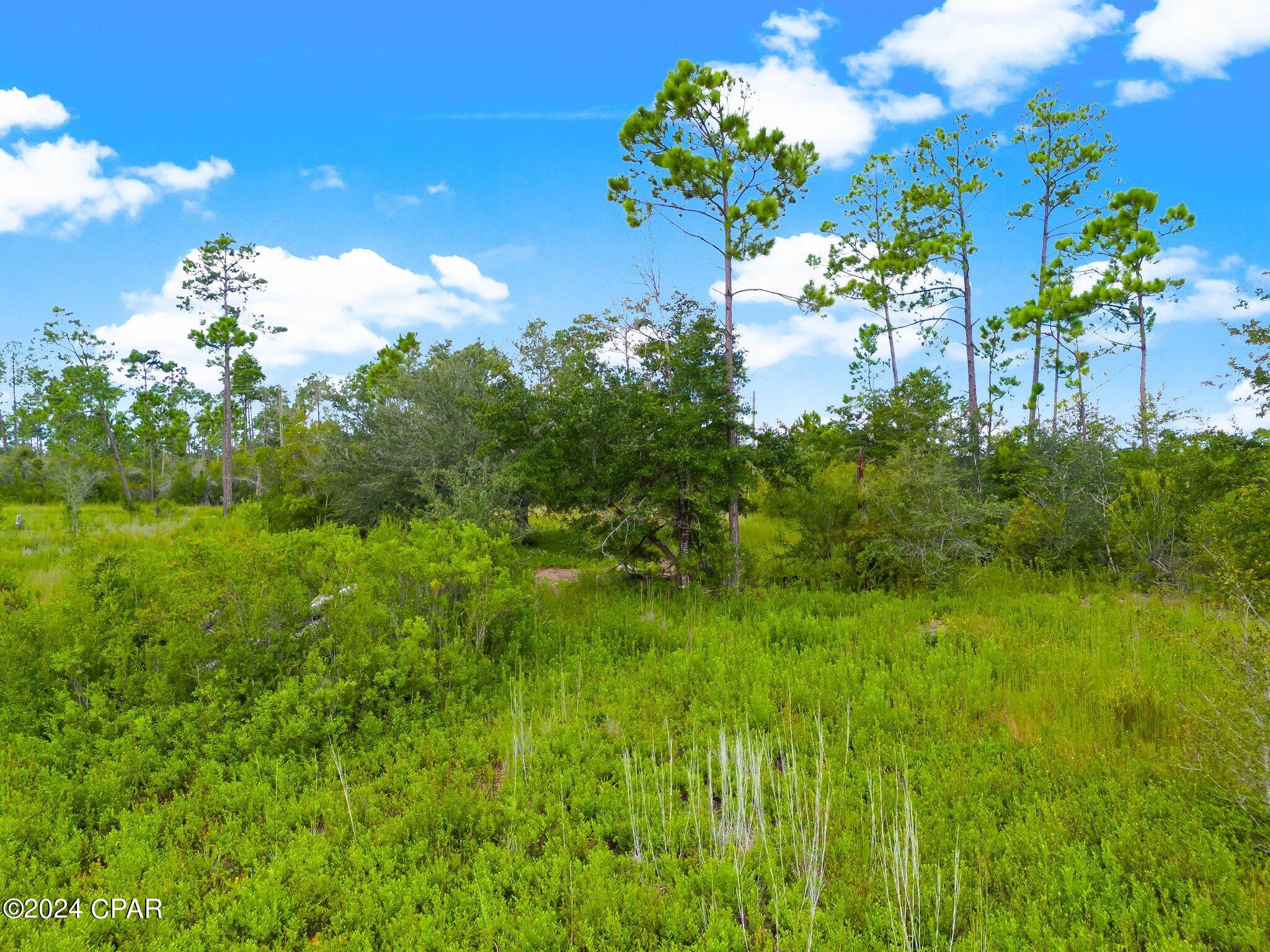 East Bay Point - Land