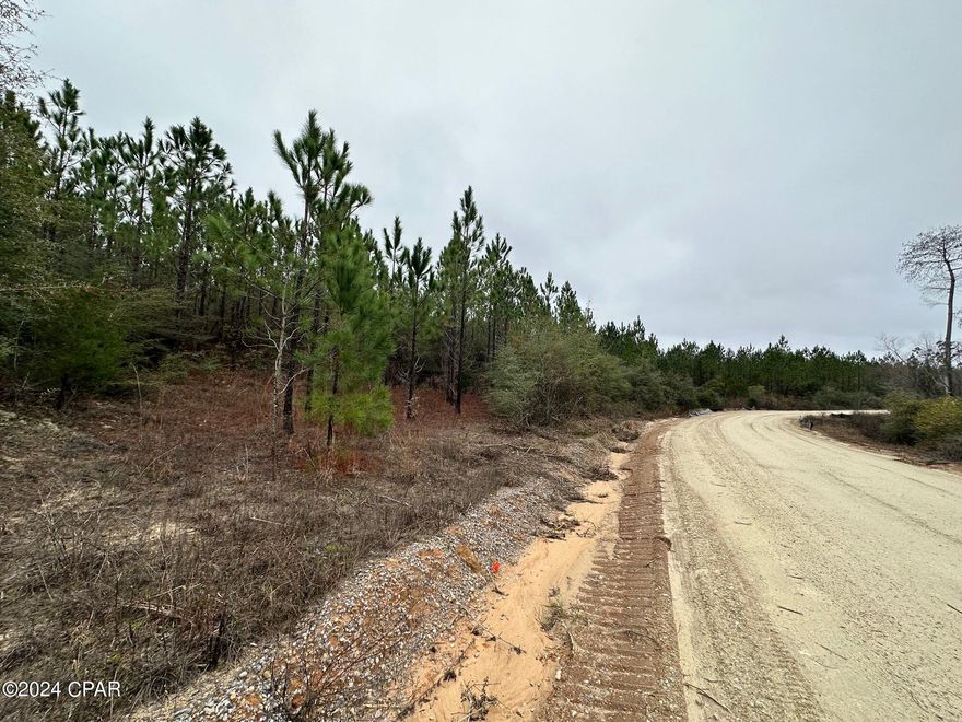 Dream Location for Country Living or Hunters Paradise either way you won't want to miss this opportunity! This Beautiful 9.83+/- Acres of prime land has so much to offer,Planted Pine- young pines. Bring your build plans, hunting gear, Horses and ATVS LOCATION LOCATION!!!! This Property has Easy Access to Panama City Beaches I-10, Hwy 79, and Hwy 90. DEED RESTRICTIONS. SEE DOCUMENTS