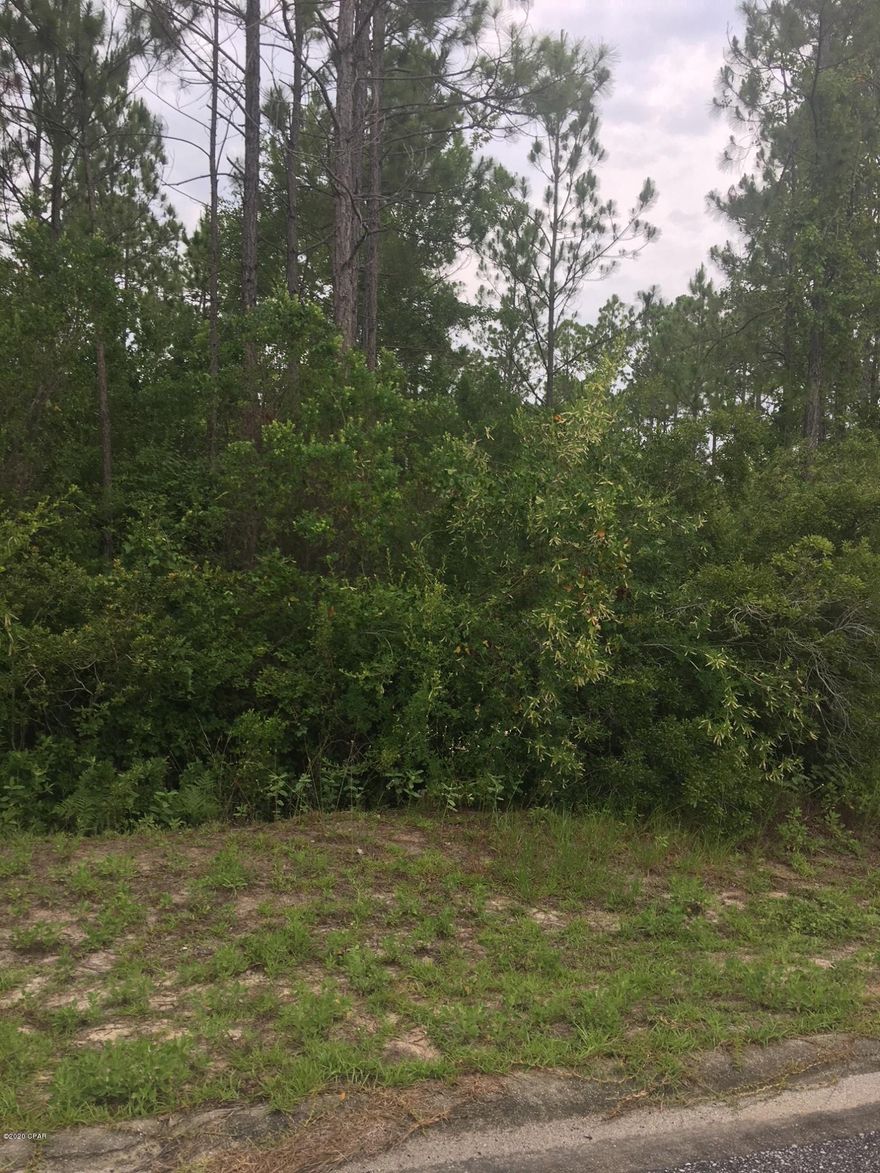 Beautiful acres tucked away in Vernon. Great subdivision that is gated.  Owner says there is no HOA fees.