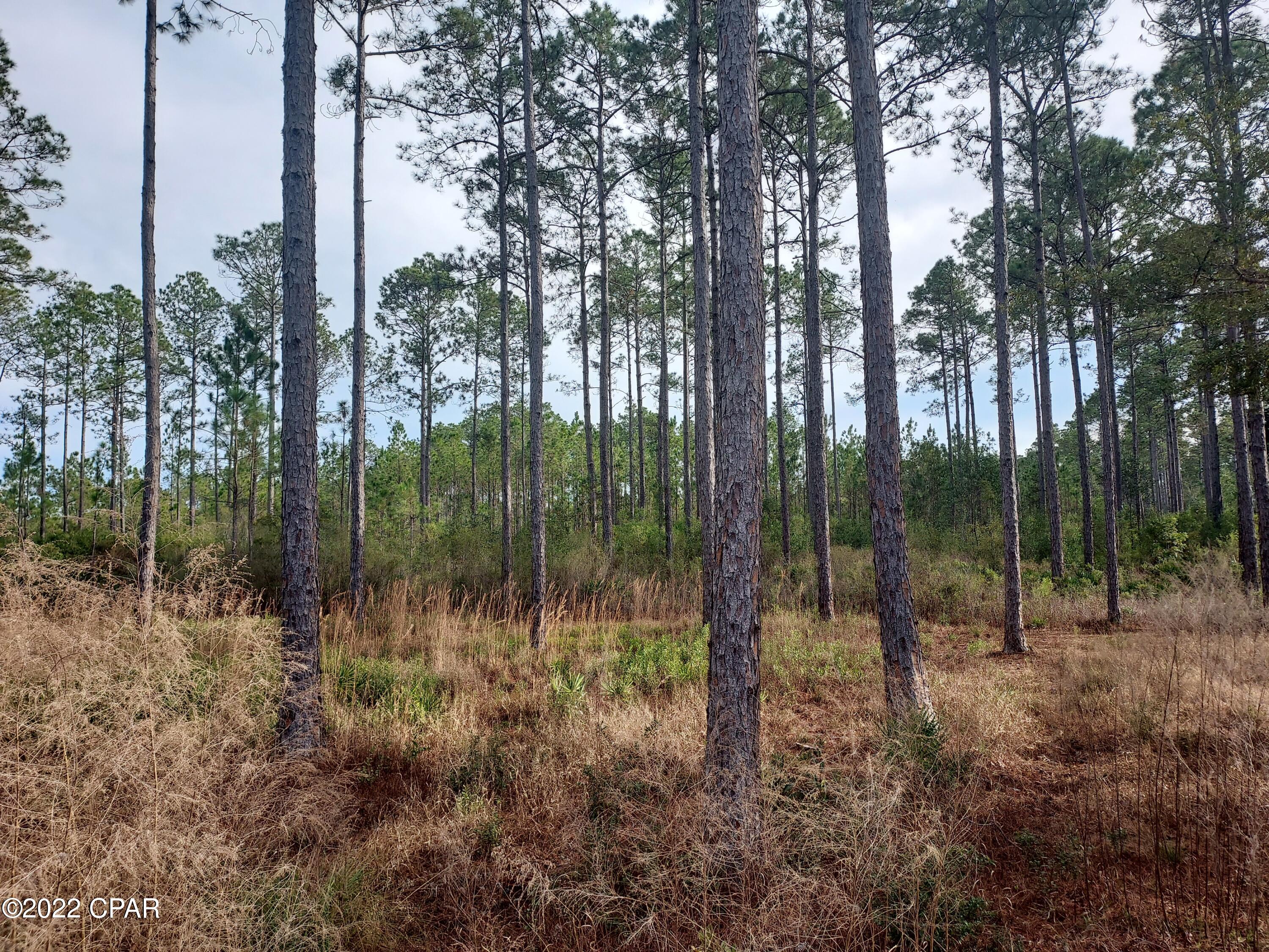 Rivercamps On Crooked Creek - Land