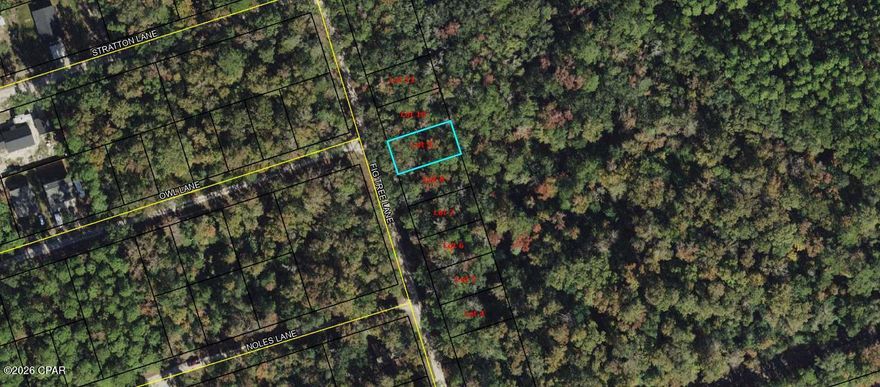 Vacant lot available on Fig Tree Ln in Crawfordville. Great opportunity for builders or investors in a growing area. Convenient and peaceful location just a short drive to the coast. Note: This listing is for one lot. A total of eight adjoining lots are available for purchase.

Buyer to verify all measurements, lot dimensions, and any information deemed important.