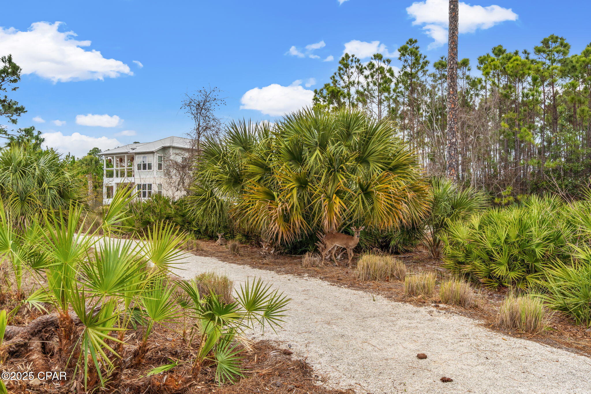 Martinique Phase II - Land