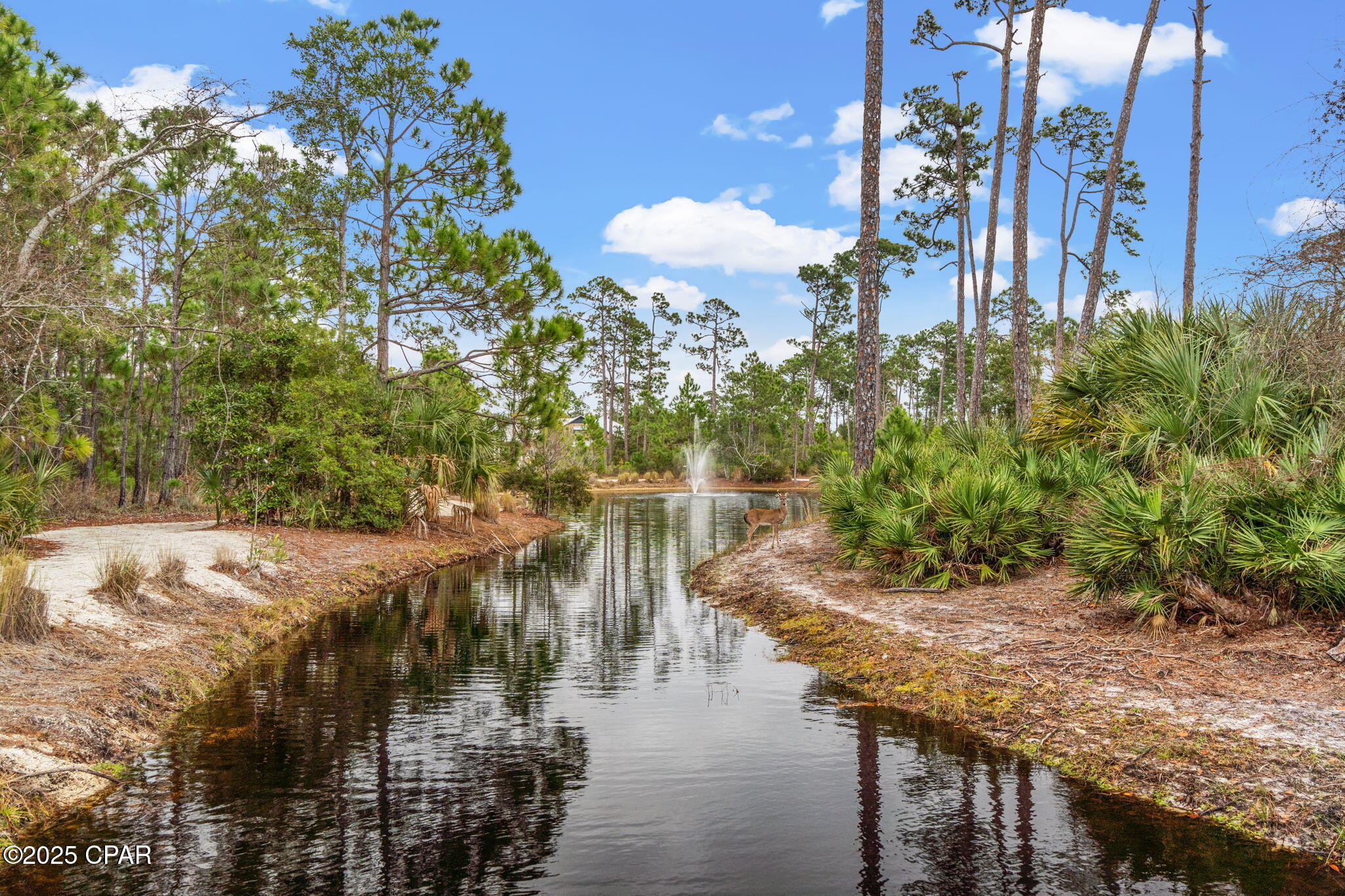 Martinique Phase II - Land