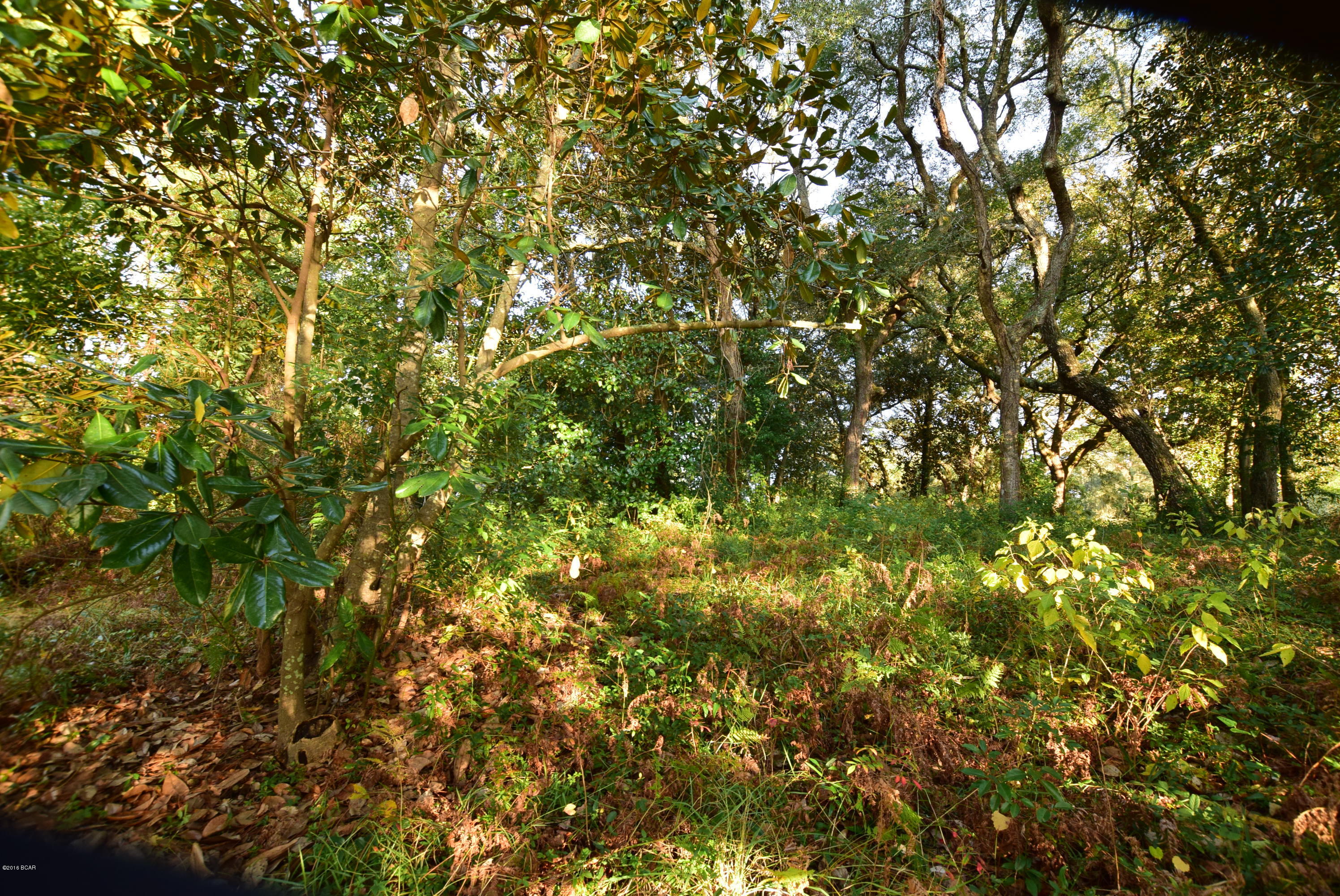 Sudduths 1st Add - Land