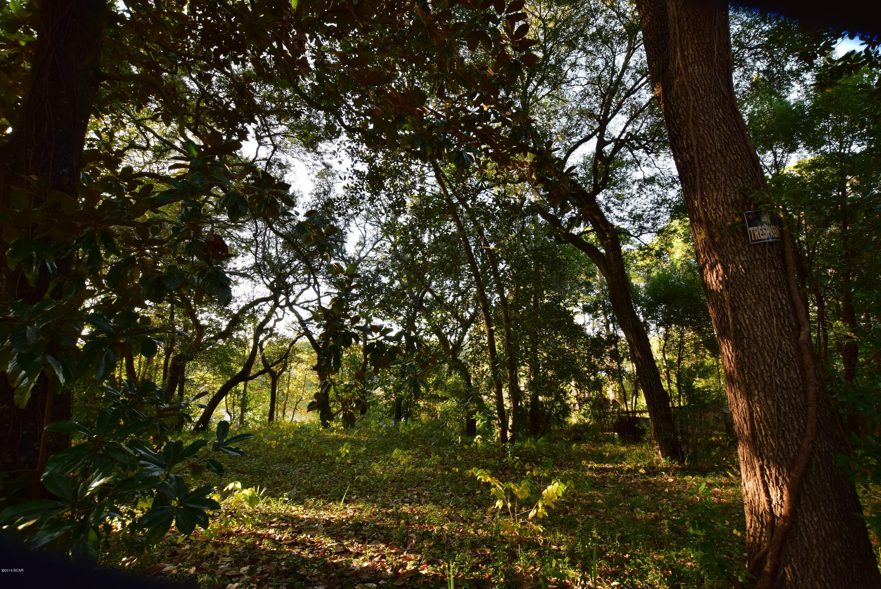 Sudduths 1st Add - Land