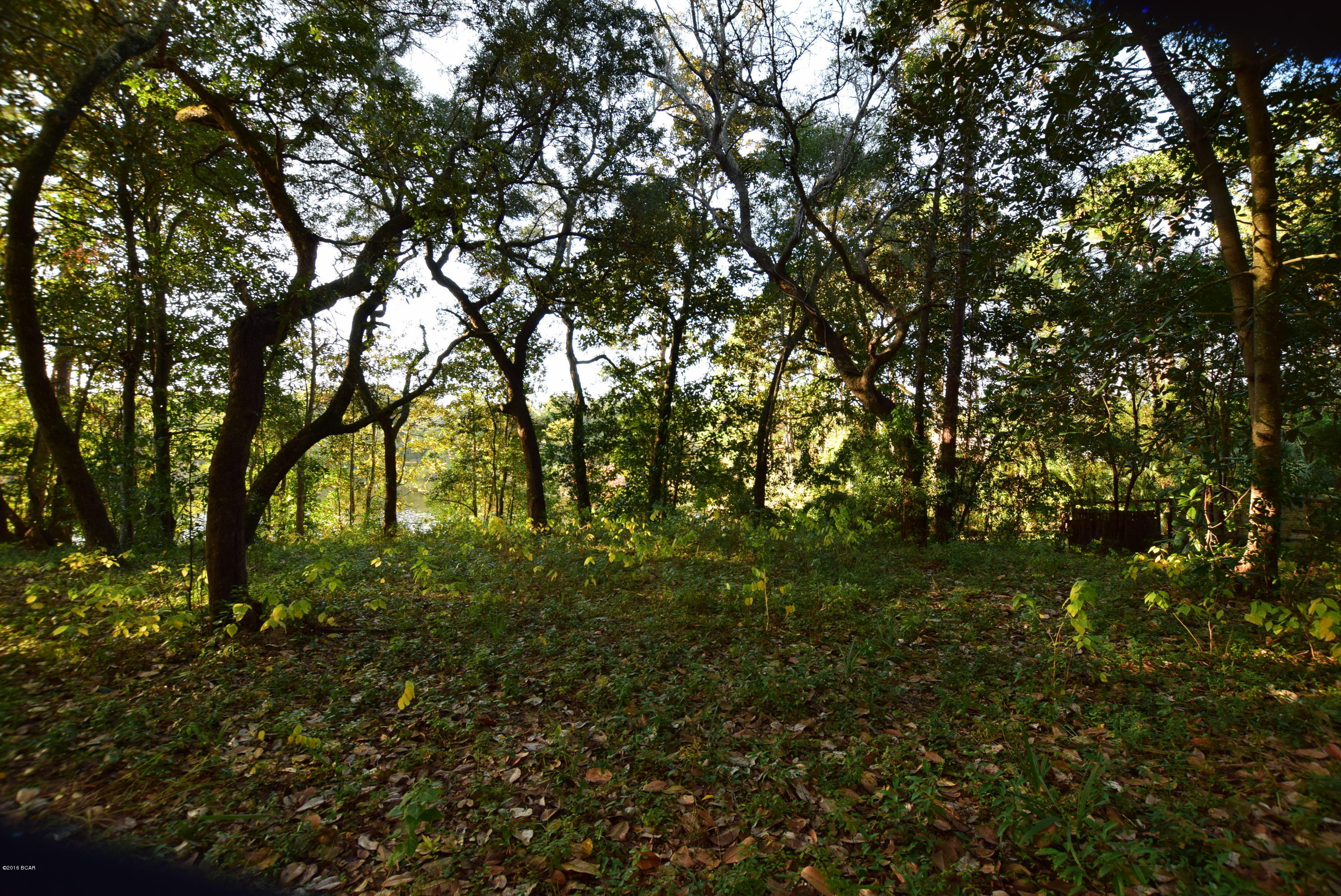 Sudduths 1st Add - Land