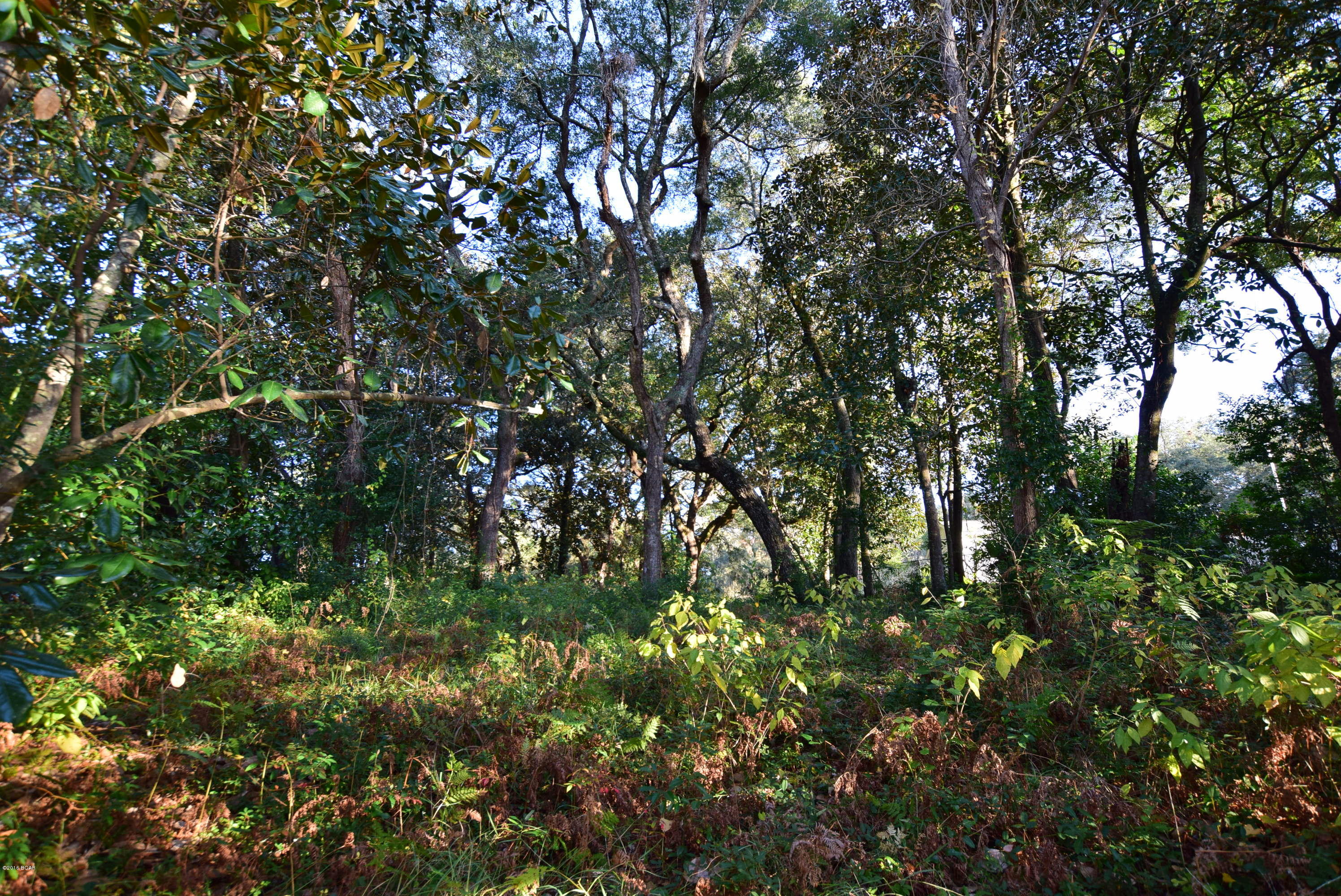 Sudduths 1st Add - Land