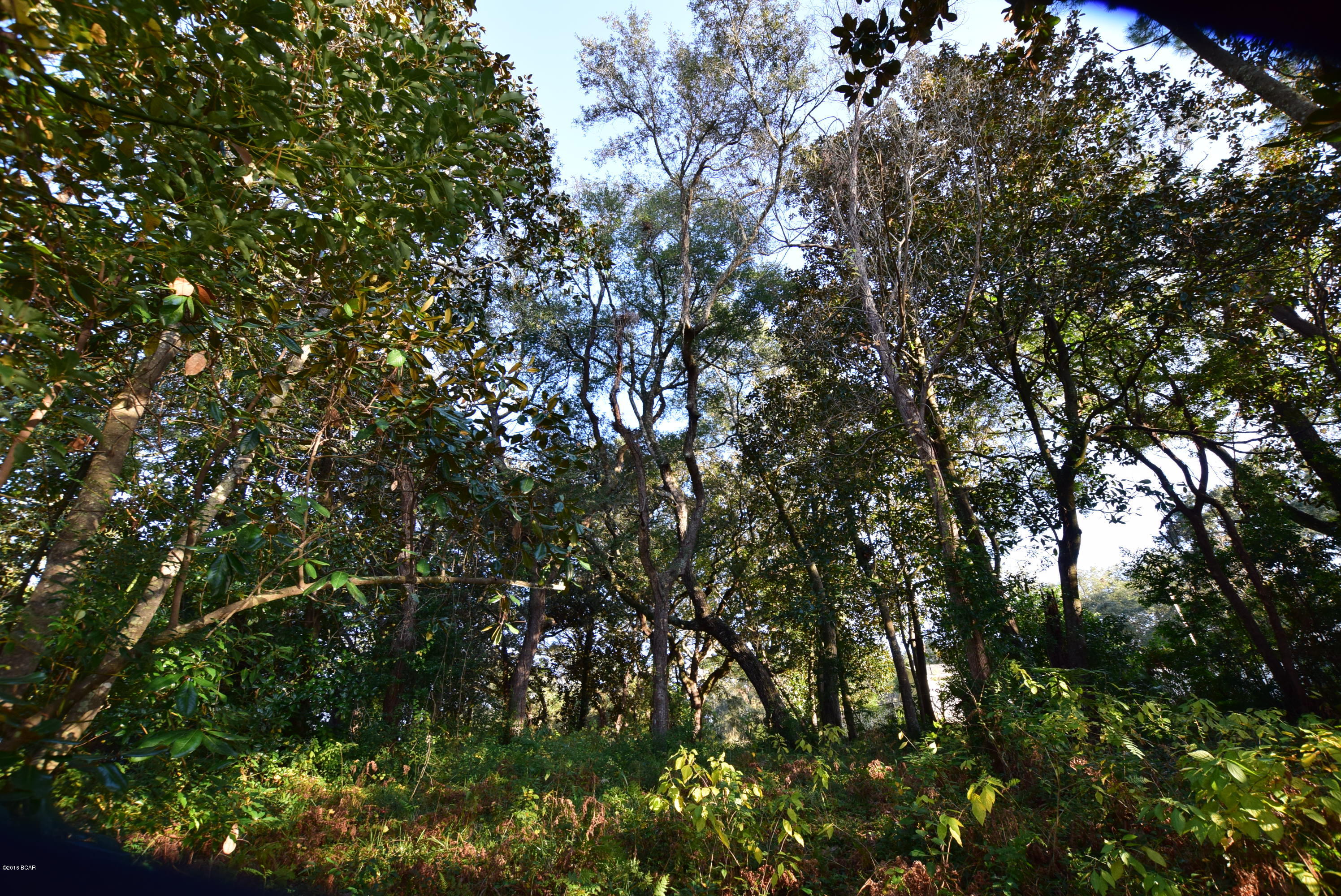 Sudduths 1st Add - Land