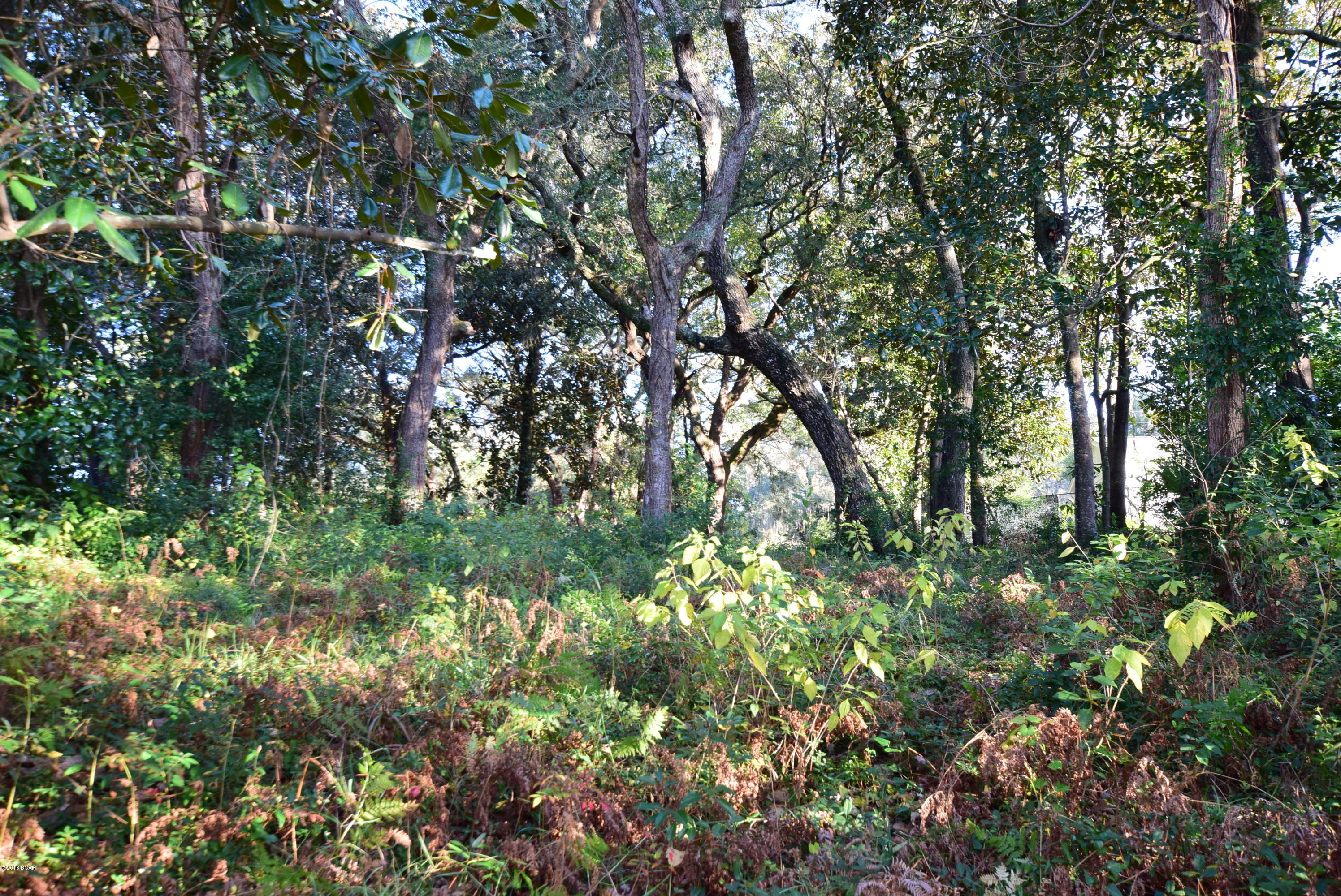 Sudduths 1st Add - Land