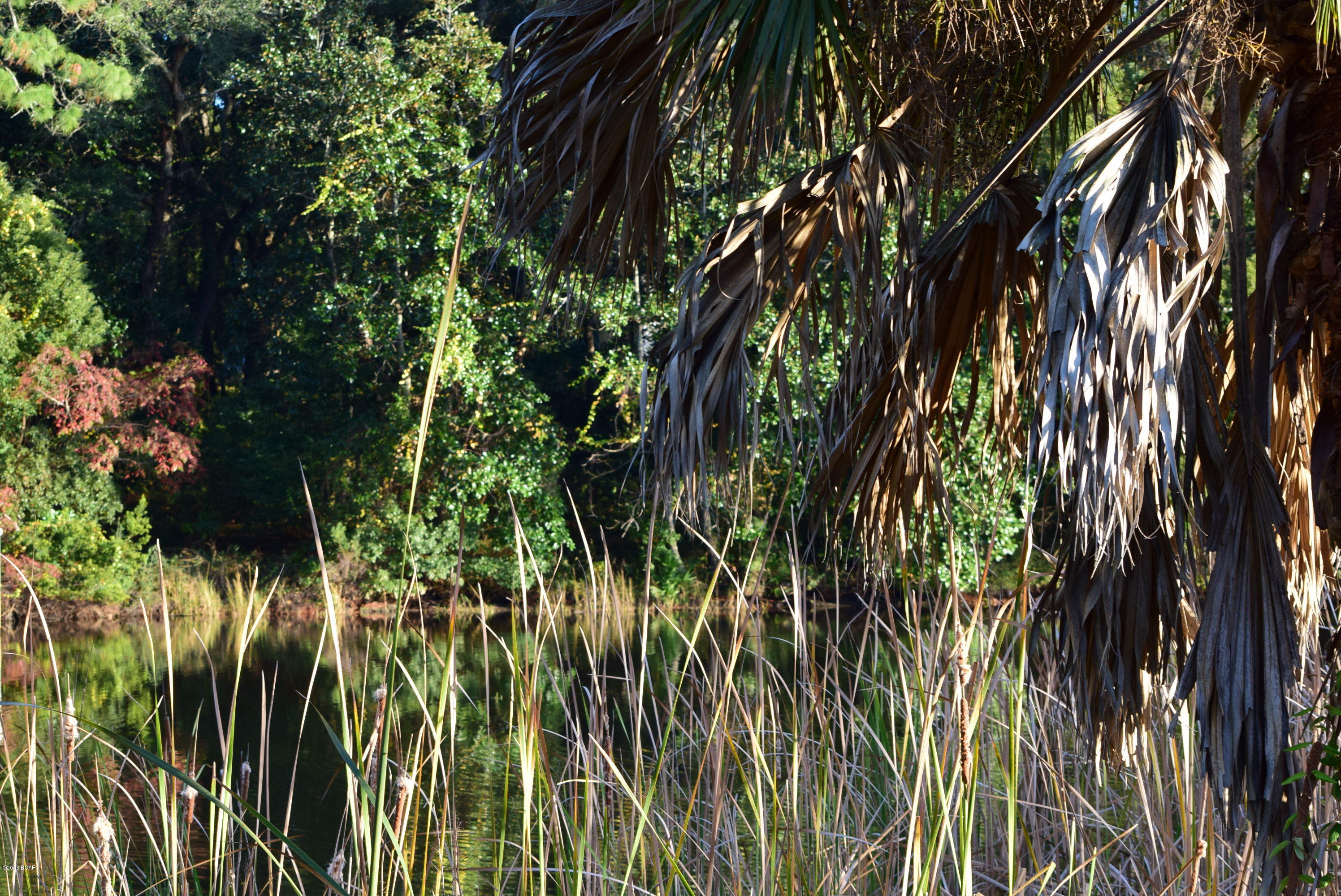 Sudduths 1st Add - Land