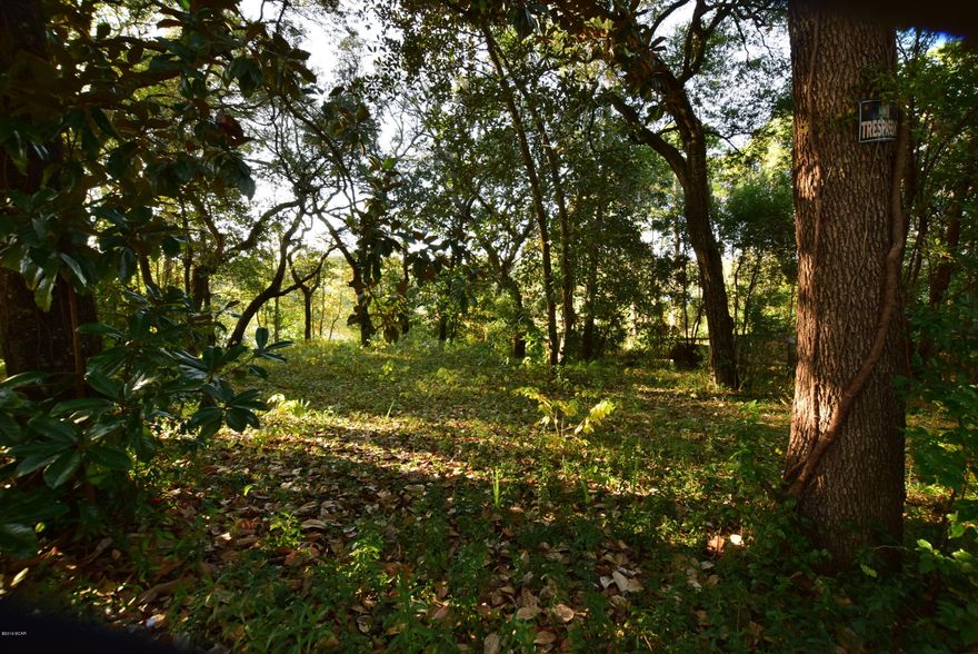 Beautiful waterfront lot centrally located in downtown Panama City. Old growth oaks and magnolias.  Deep water bayou, easy access to the bay and gulf. Approximately 120ft of water frontage!