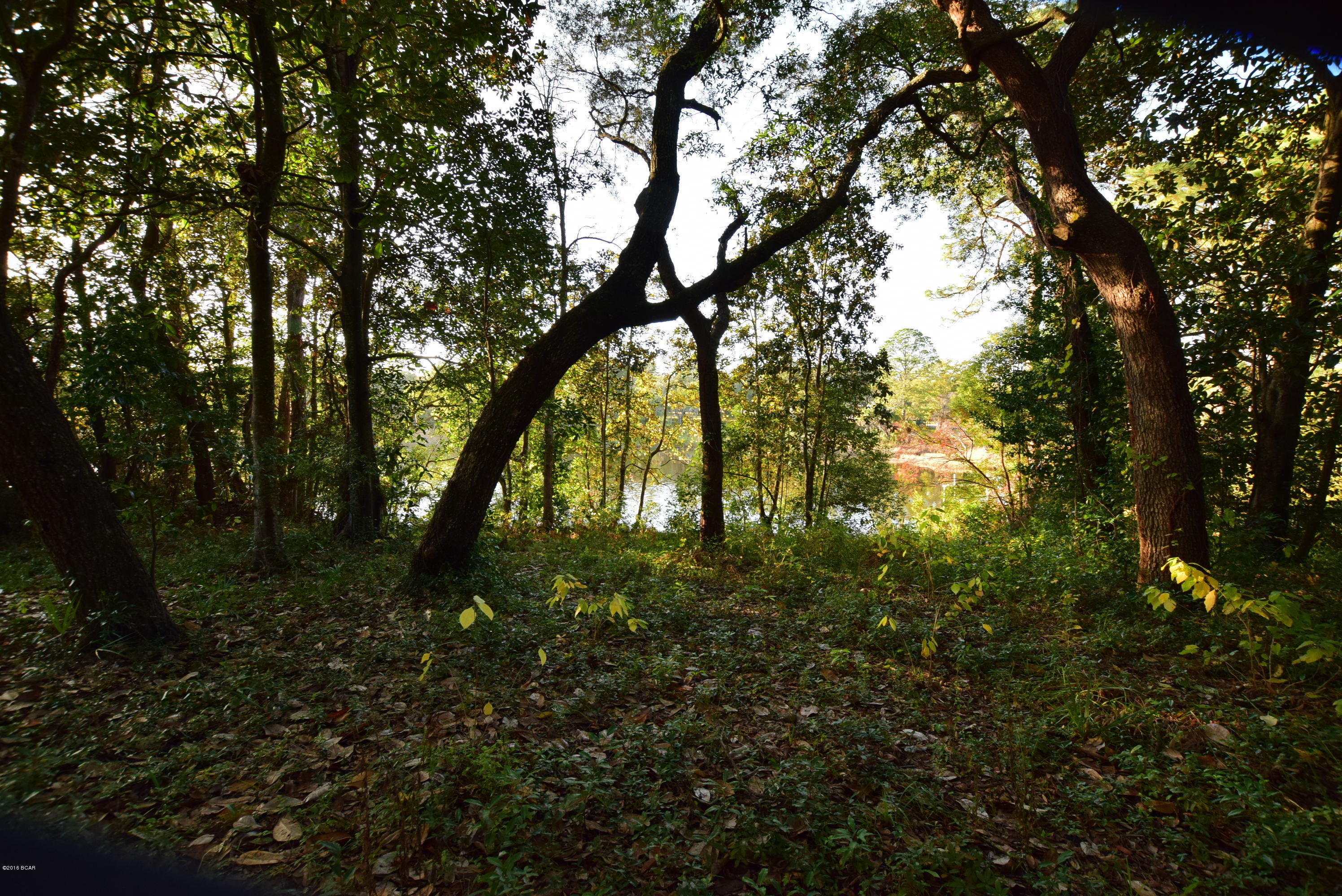 Sudduths 1st Add - Land