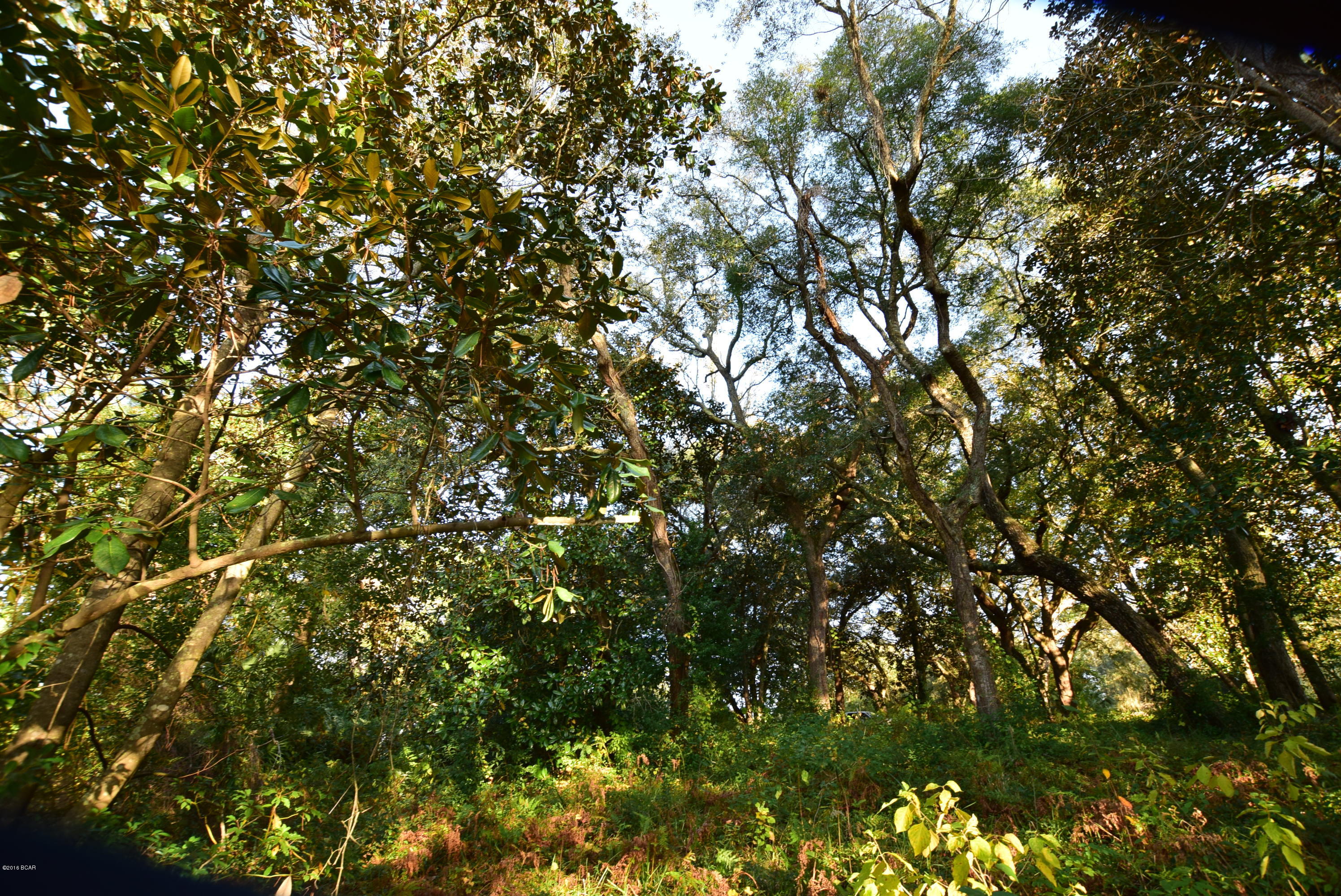 Sudduths 1st Add - Land