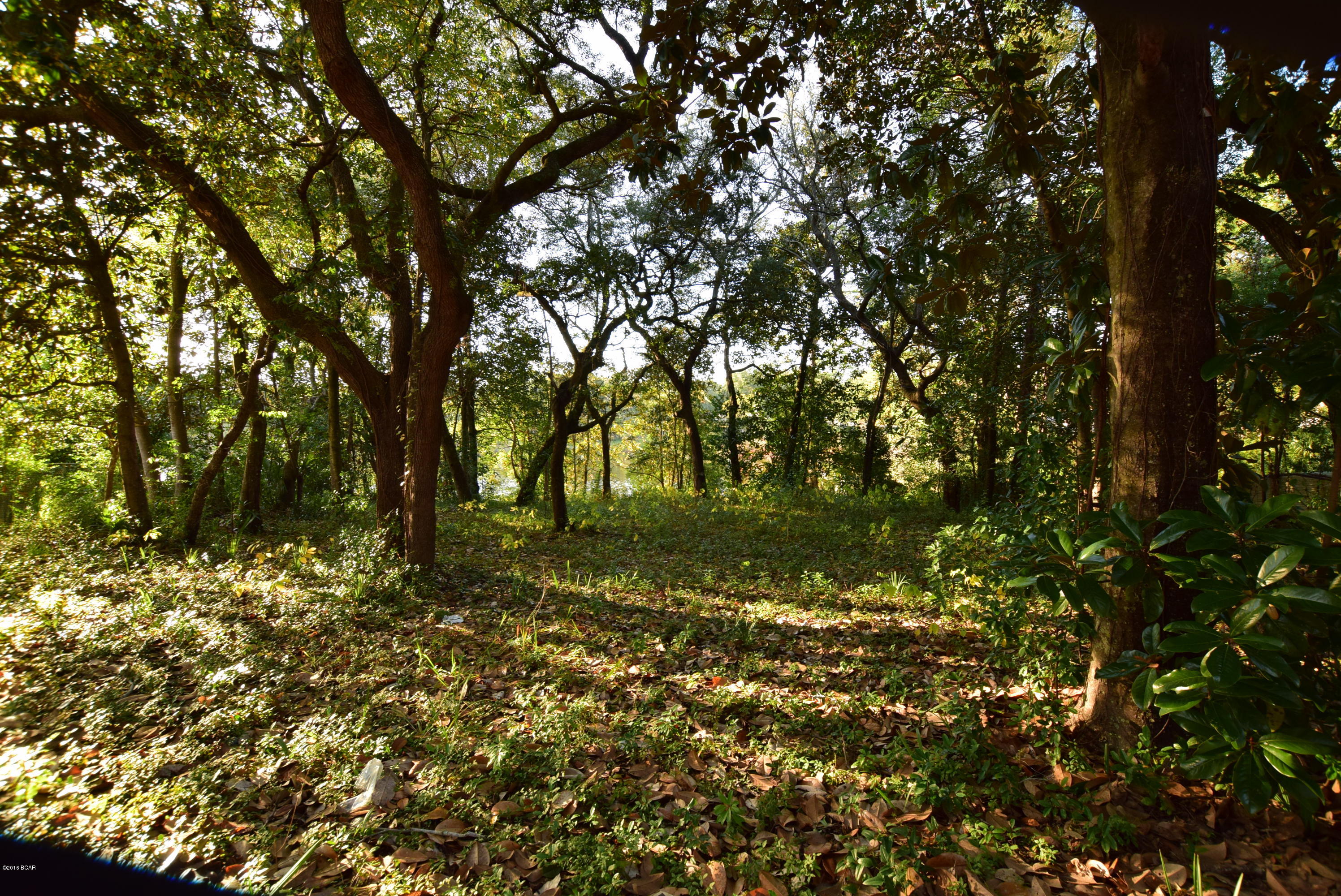 Sudduths 1st Add - Land