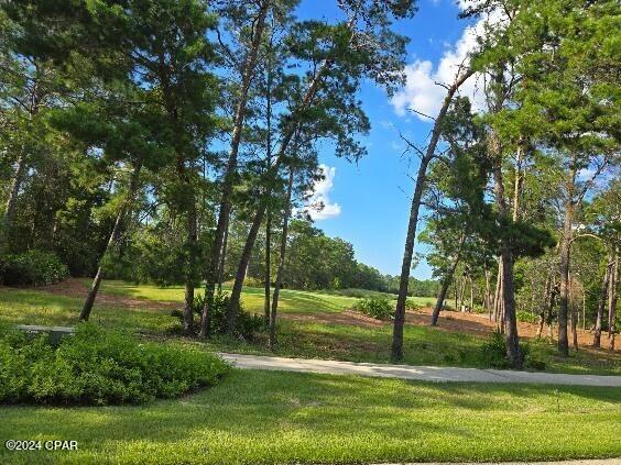 Wild Heron Phase XIV - Land