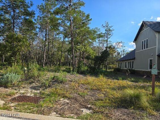 Wild Heron Phase XIV - Land