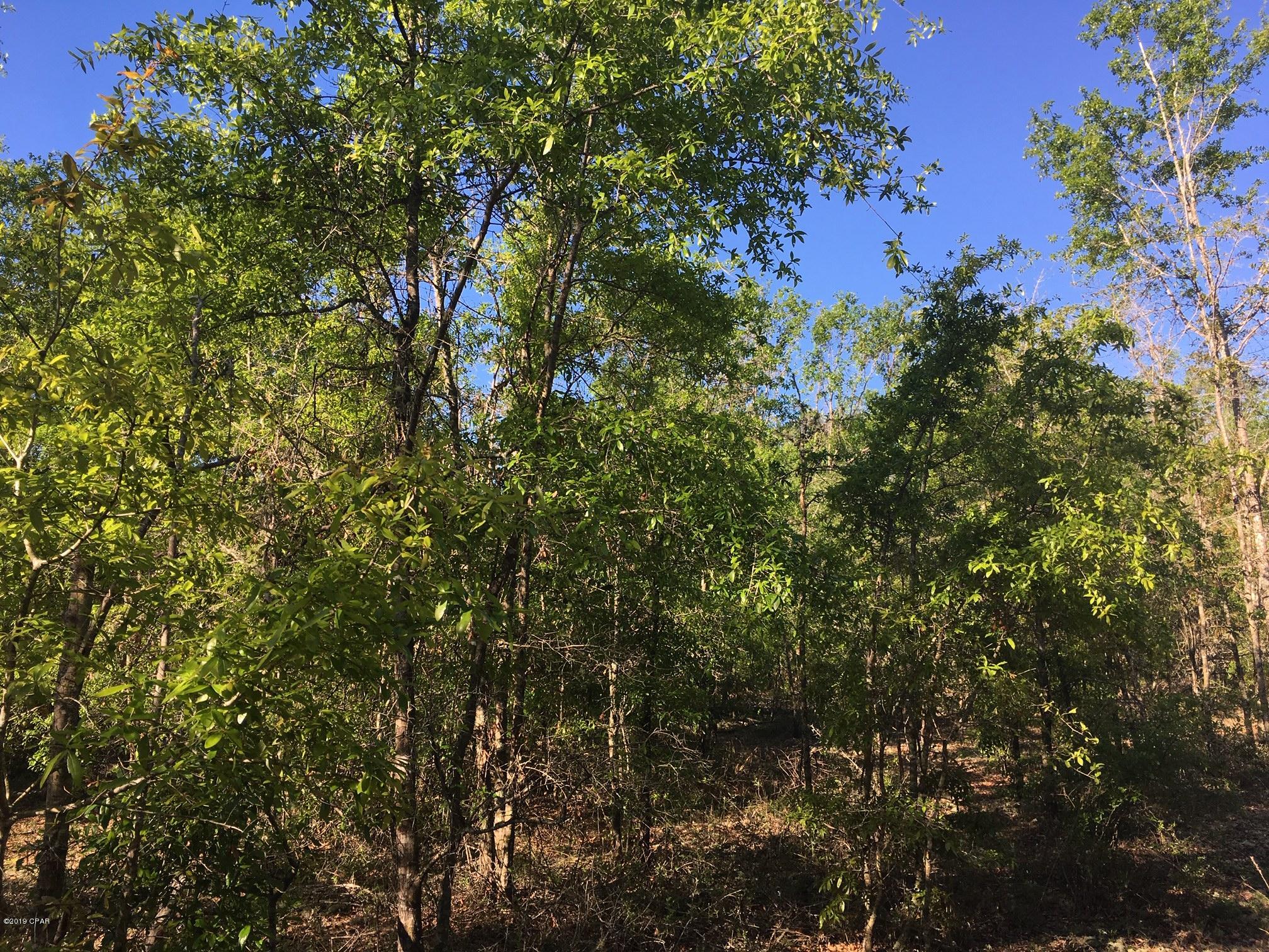 Whippoorwills - Land