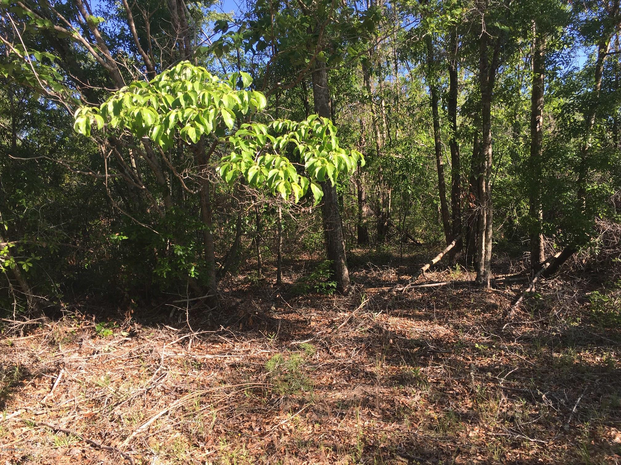 Whippoorwills - Land