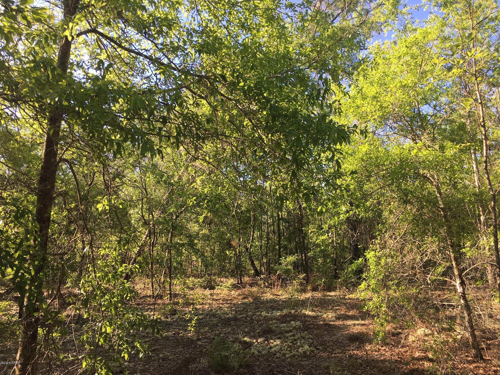 Whippoorwills - Land