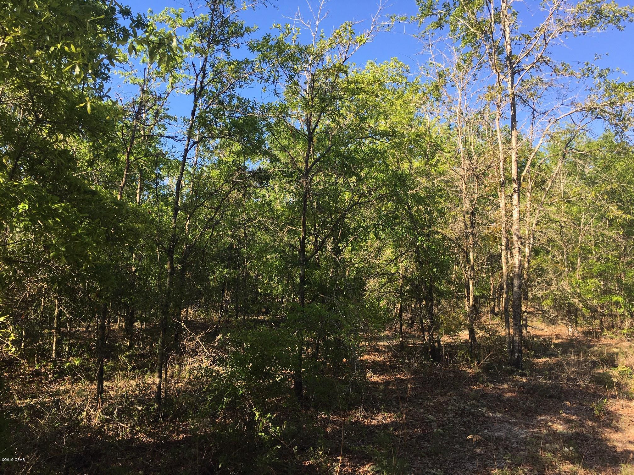 Whippoorwills - Land