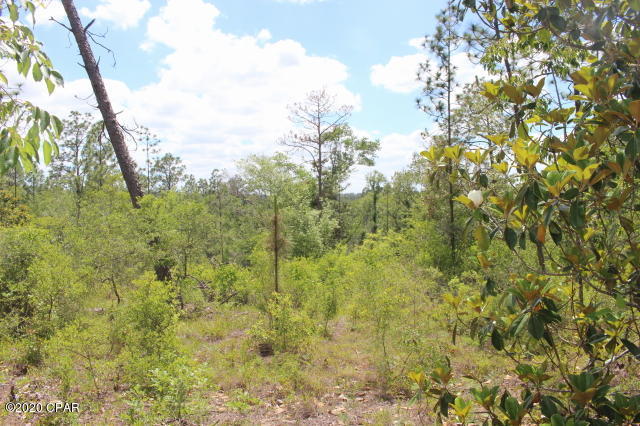 Compass Lake In The Hills - Land